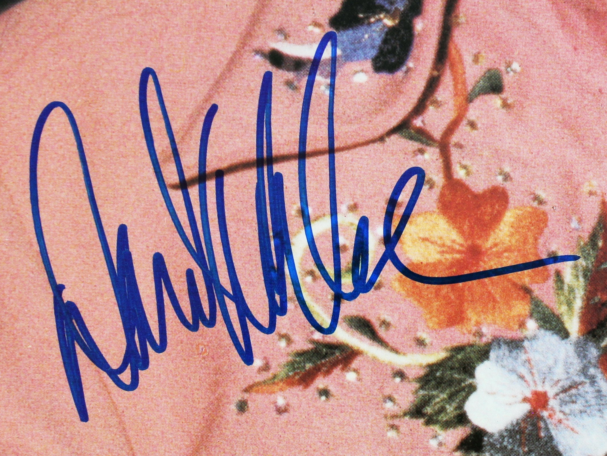 David Allan Coe Authentic Signed Tennessee Whisky Album Cover BAS #BG79174