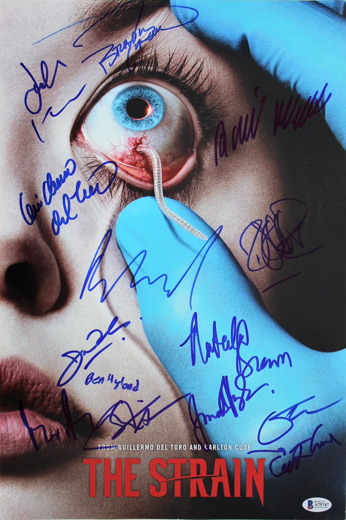 The Strain (14) Del Toro, Brown, Downes Hyland Signed 12x18 Photo BAS #A75747