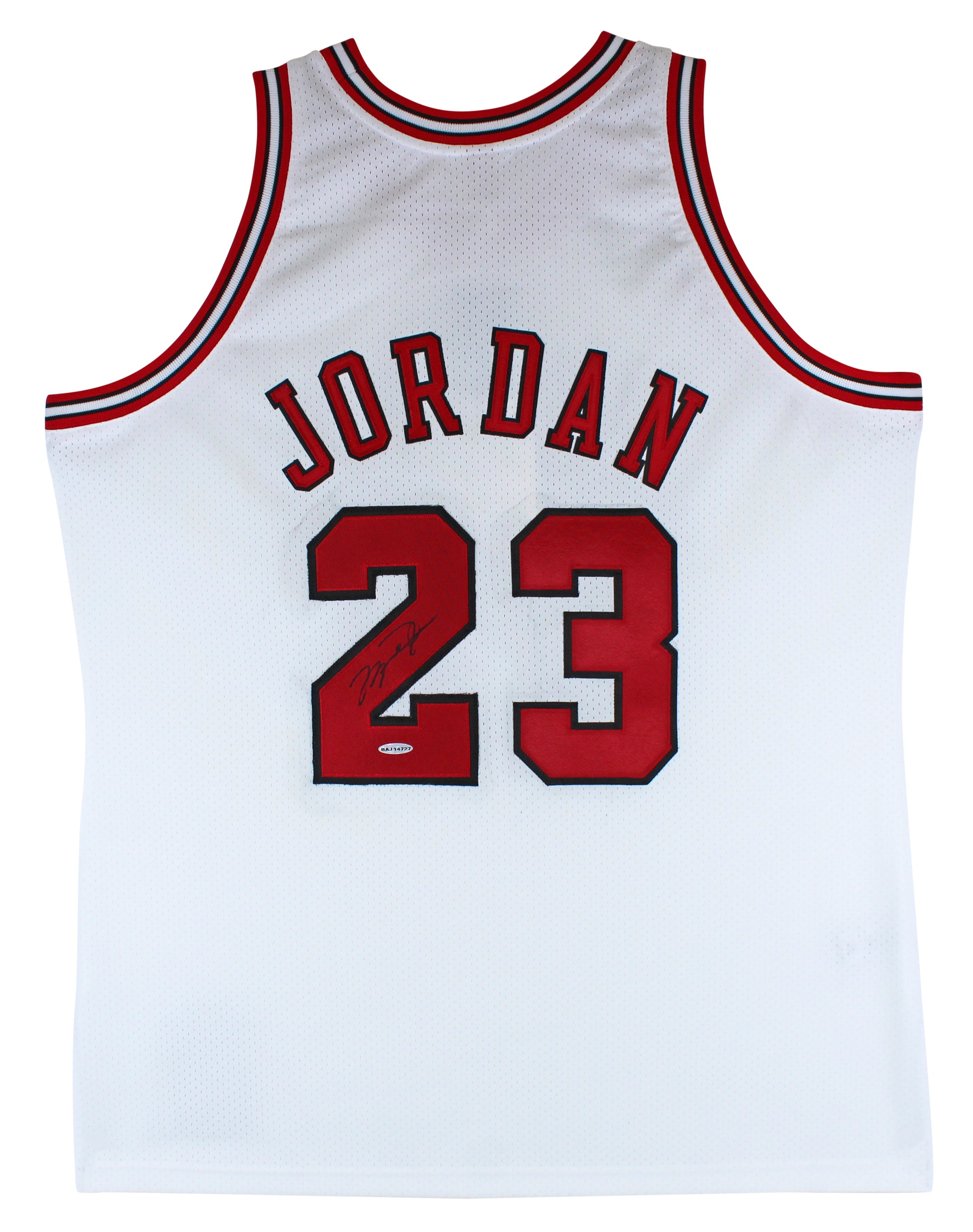 Bulls Michael Jordan Signed William Zavala Hand Painted M&N Framed Jersey UDA