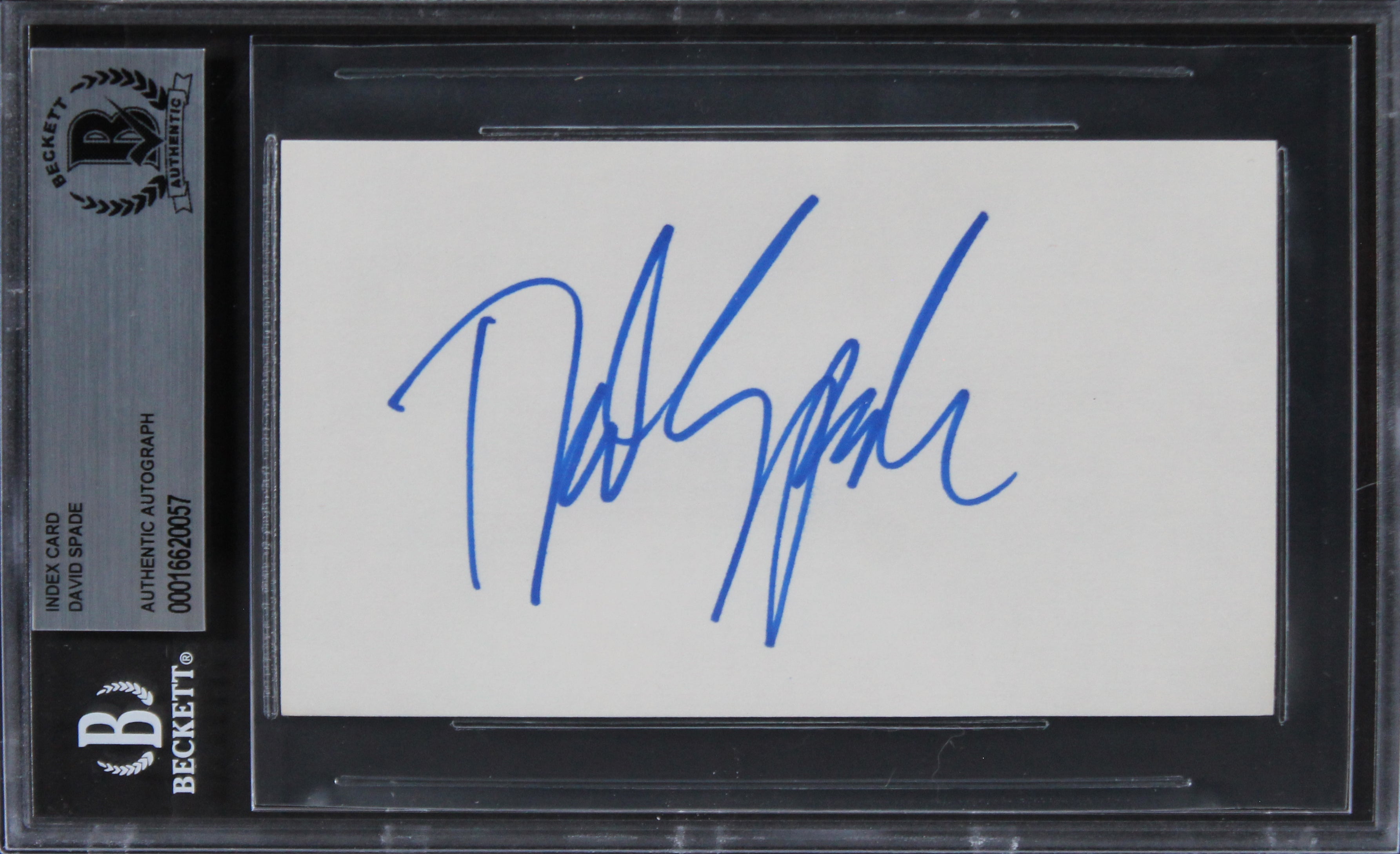 David Spade Joe Dirt Authentic Signed 3x5 Index Card Autographed BAS Slabbed