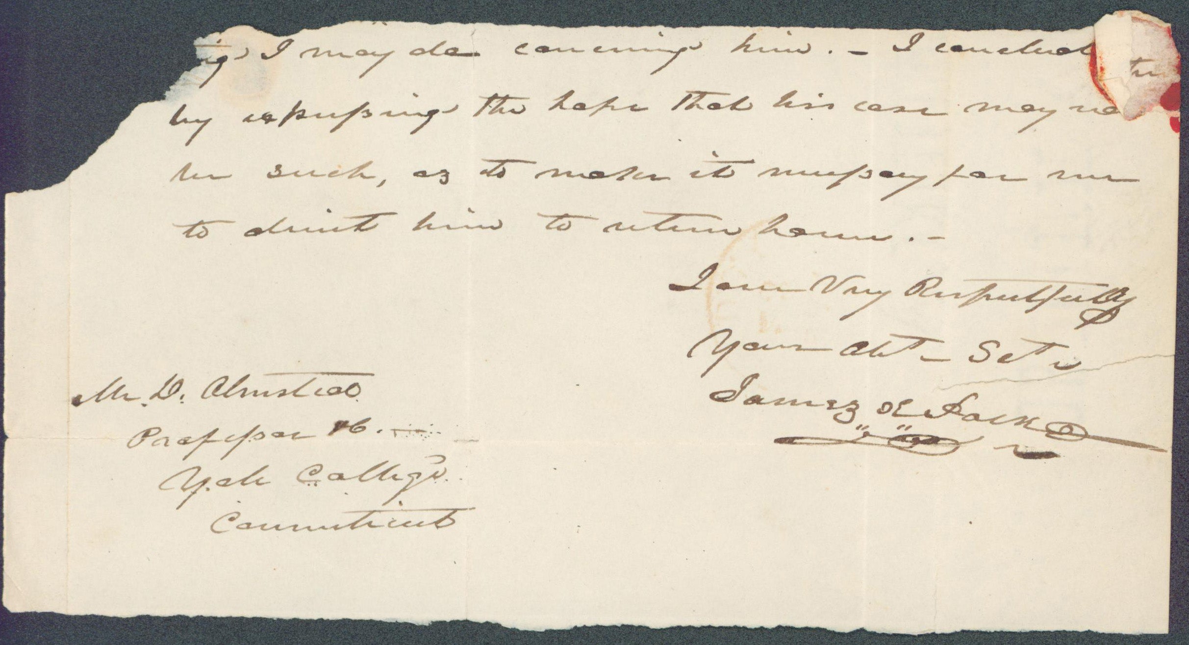 James K. Polk Authentic Signed 4x8 Handwritting & Cut Signature JSA #BB88698