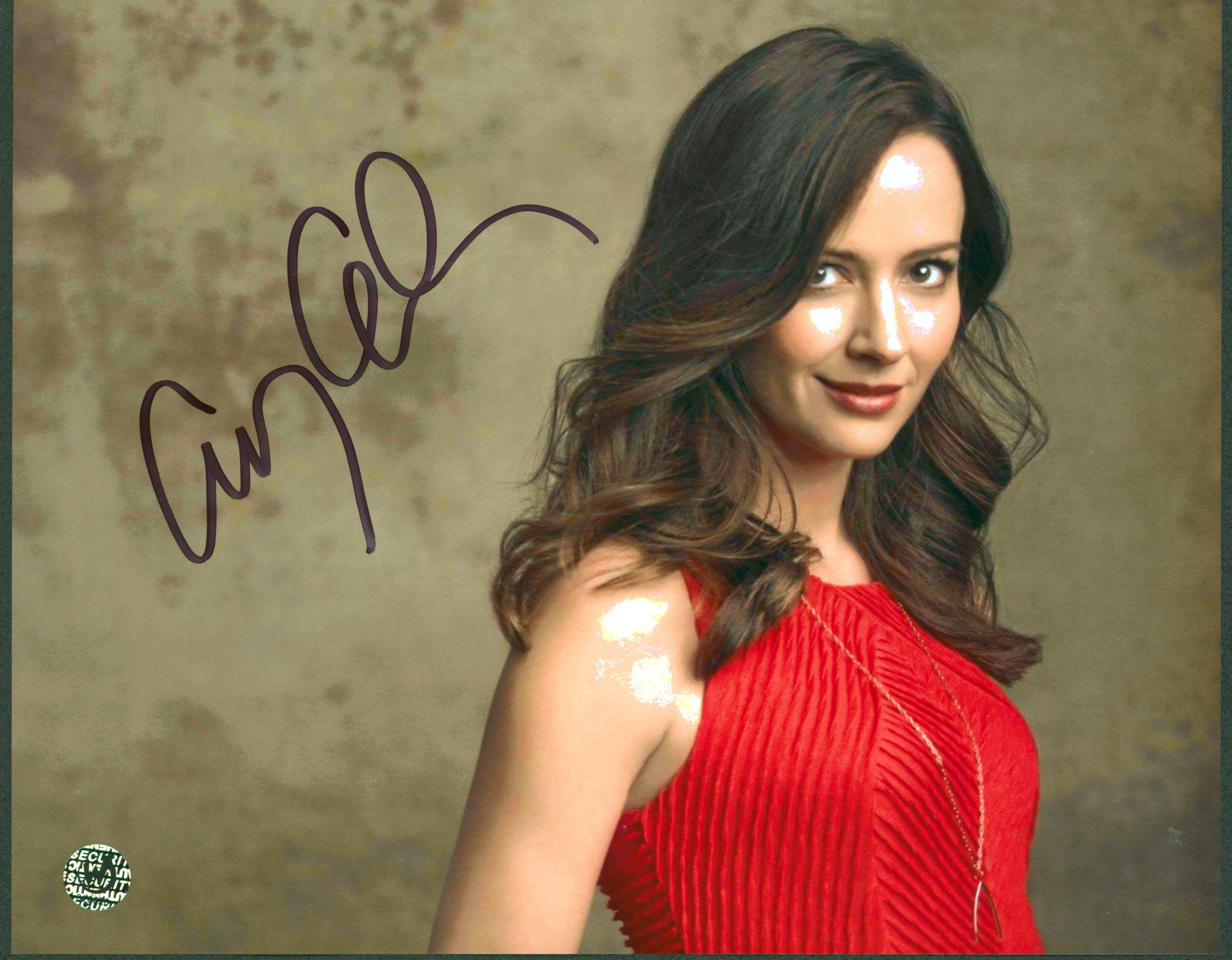 Amy Acker Person of Interest Authentic Signed 8x10 Photo Wizard World #016626