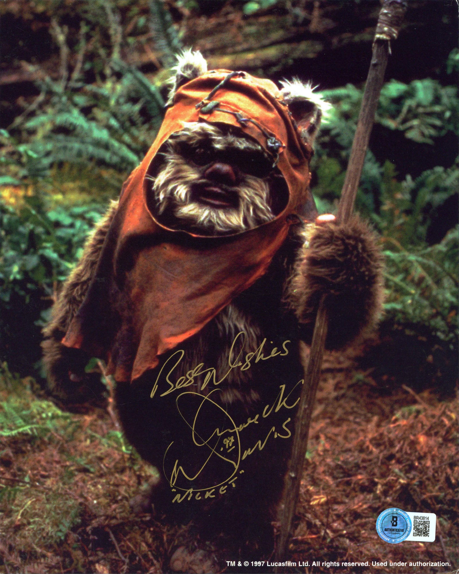 Warwick Davis Star Wars "Nicket" Authentic Signed 8x10 Photo BAS #BR43814