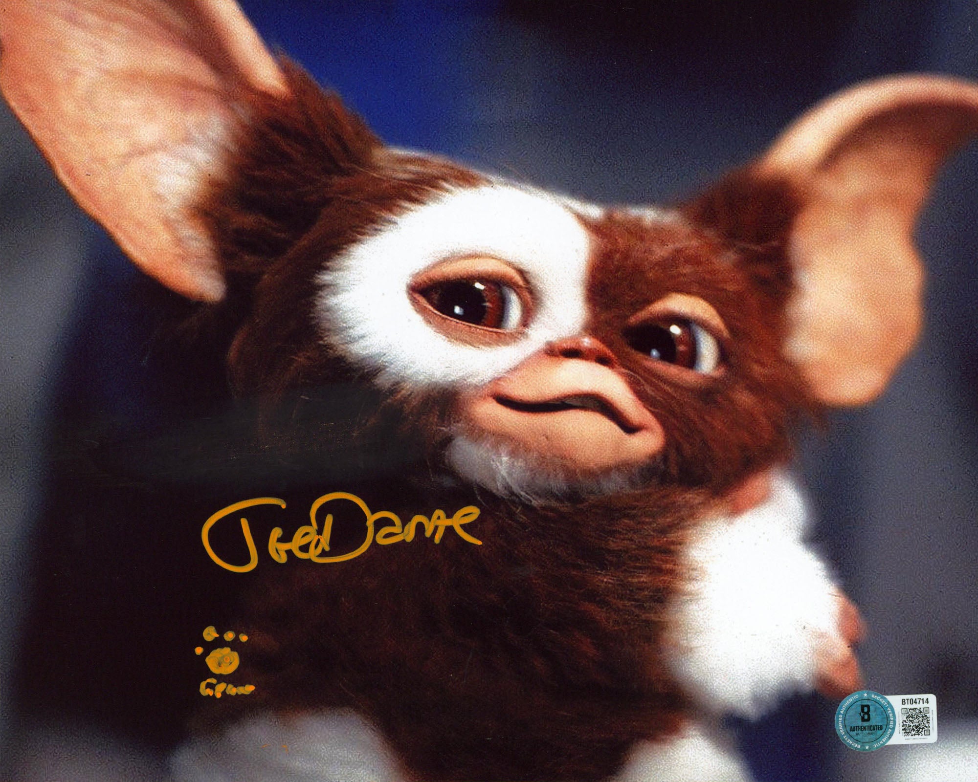 Joe Dante Gremlins "Gizmo" Authentic Signed 8x10 Horizontal Photo BAS #BT04714