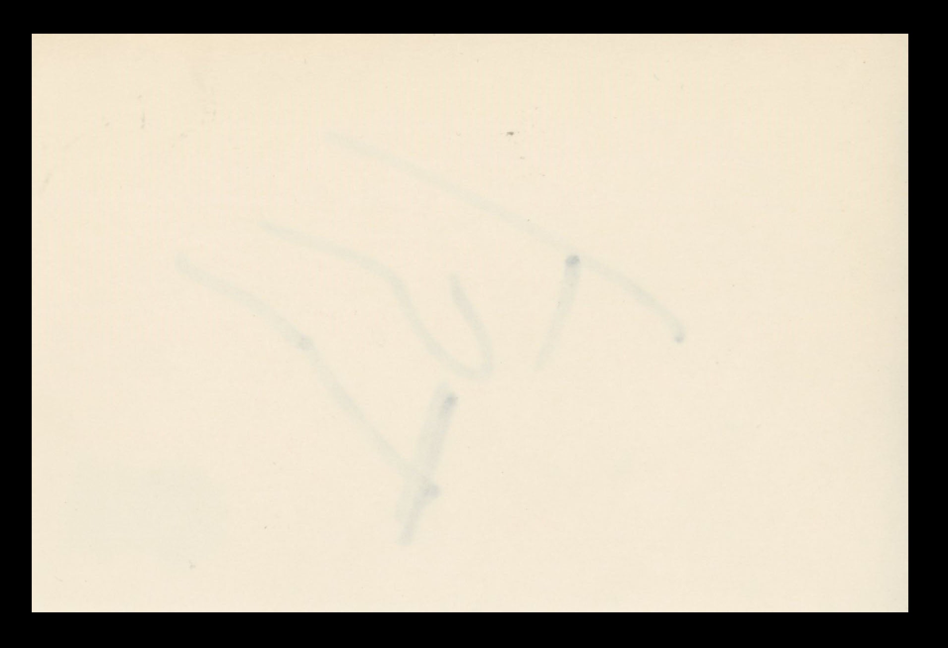 Tom Sizemore Saving Private Ryan Authentic Signed 4x6 Index Card BAS #BS29444