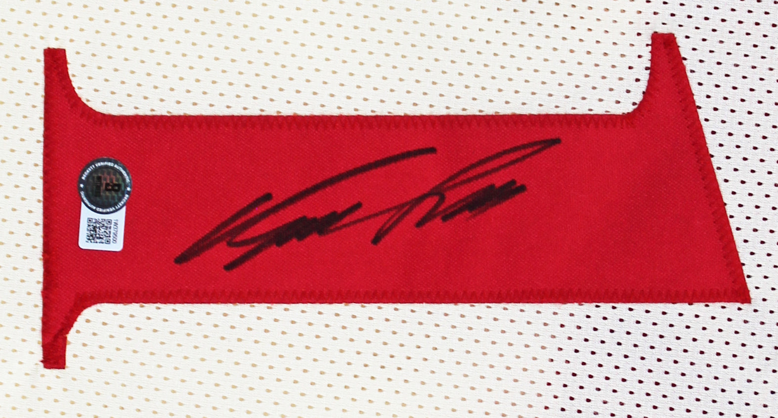 Dominique Wilkins Authentic Signed Cream Pro Style Framed Jersey BAS Witnessed