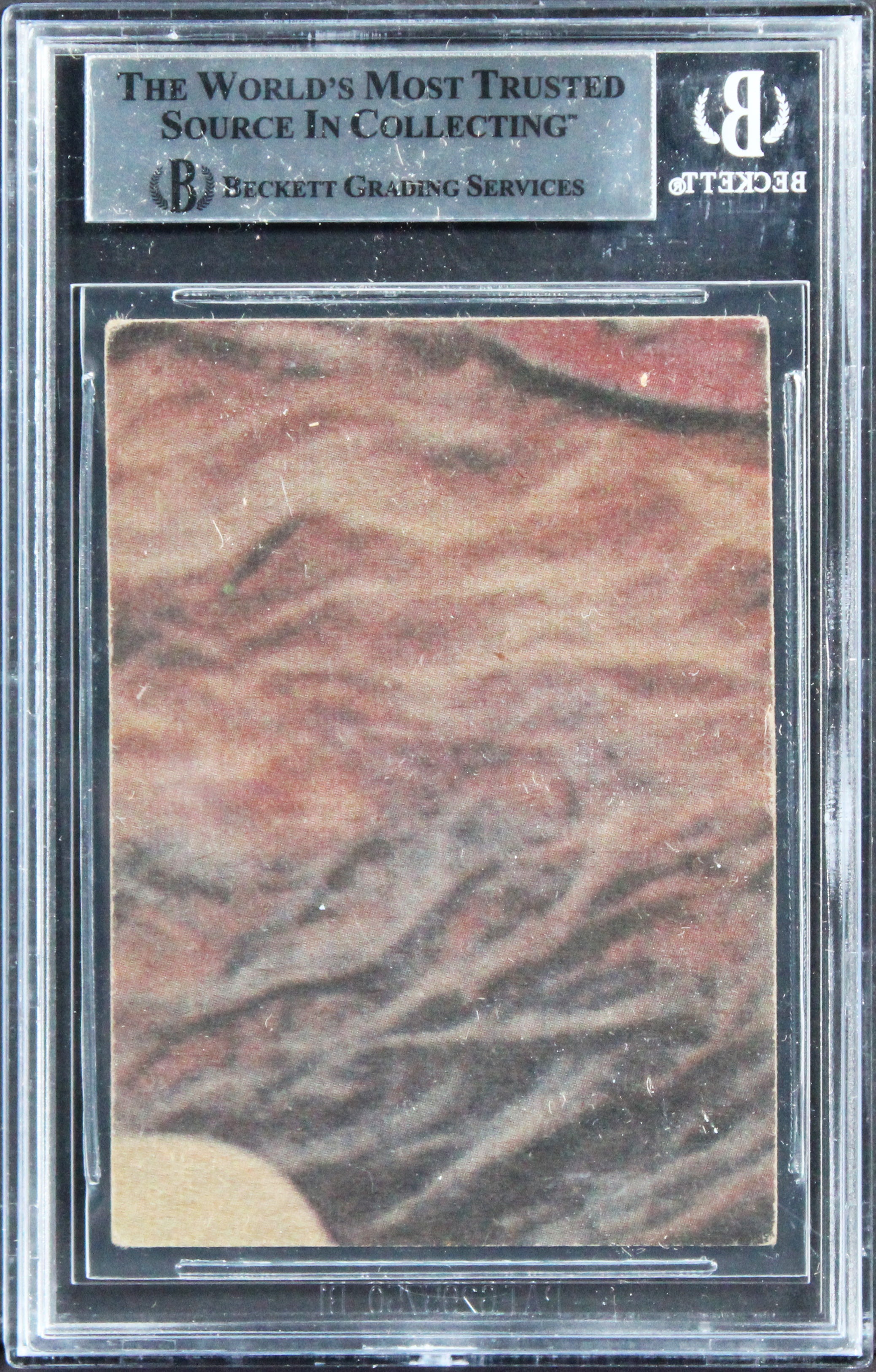 David Prowse & Terry McGovern Authentic Signed 1977 Star Wars #75 Card BAS Slab