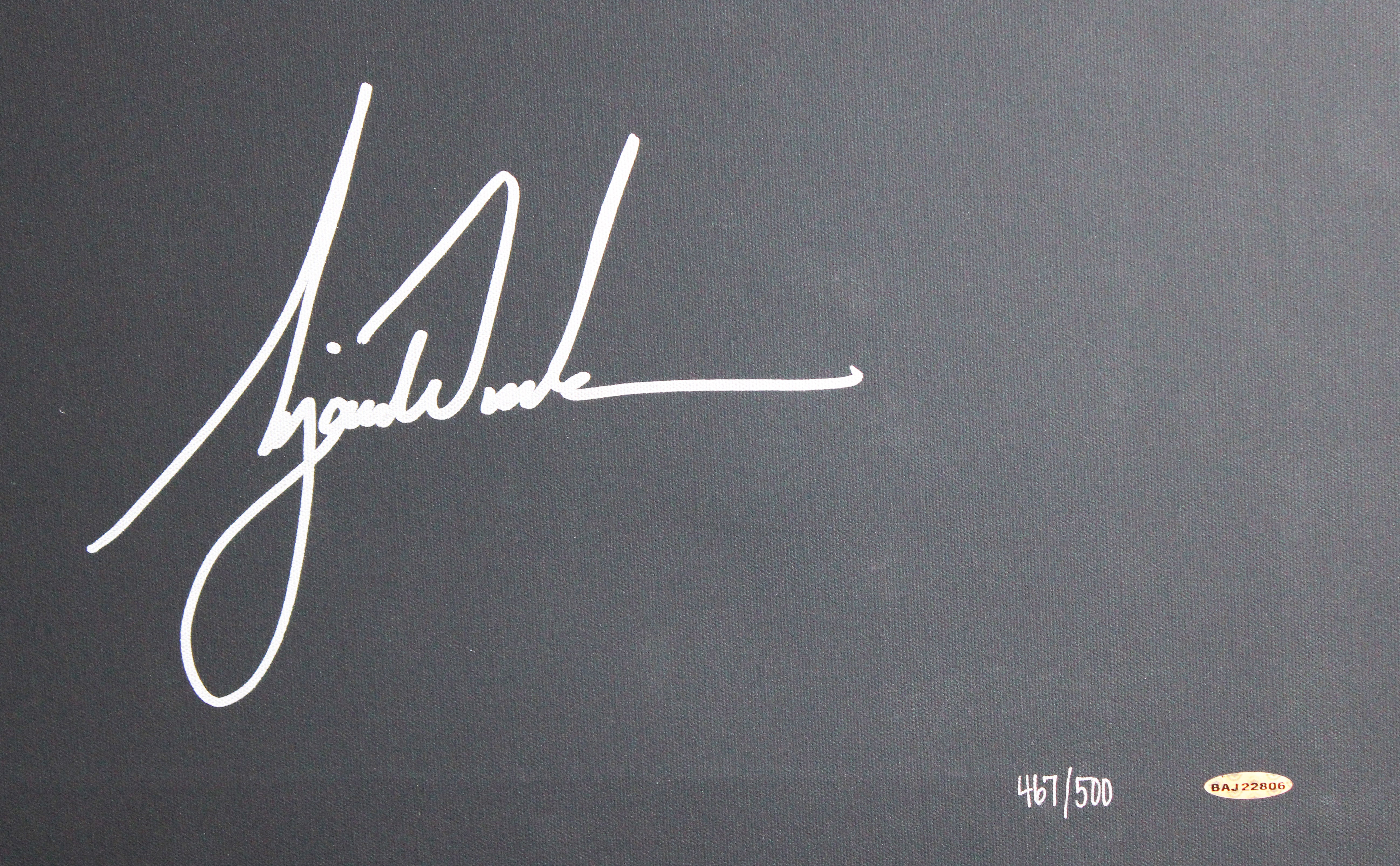 Tiger Woods Signed & Framed 32x40 "Sunset" Canvas LE #467/500 UDA #BAJ22806