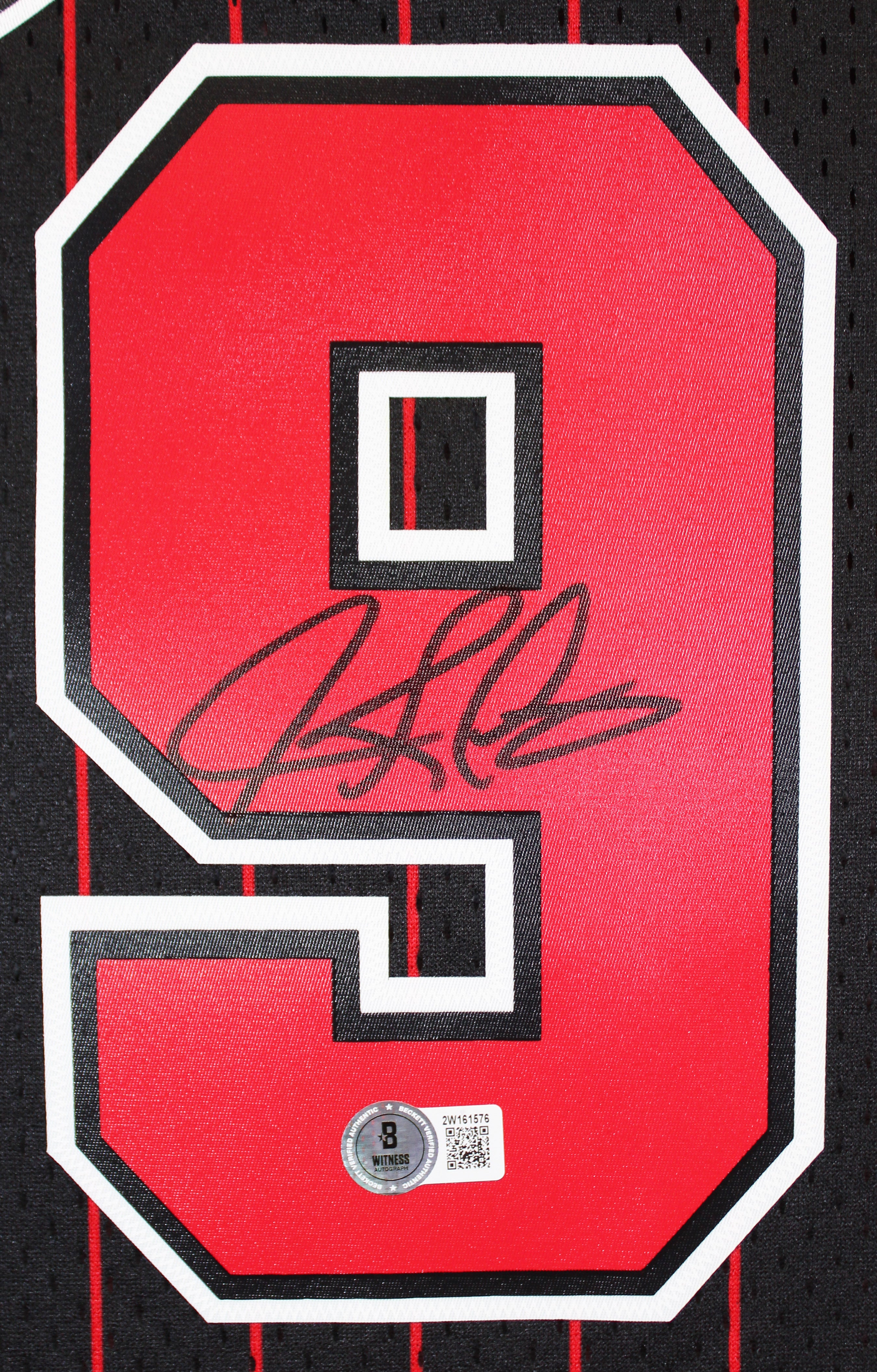 Bulls Dennis Rodman Signed Black 1995-96 M&N HWC Swingman Framed Jersey BAS W