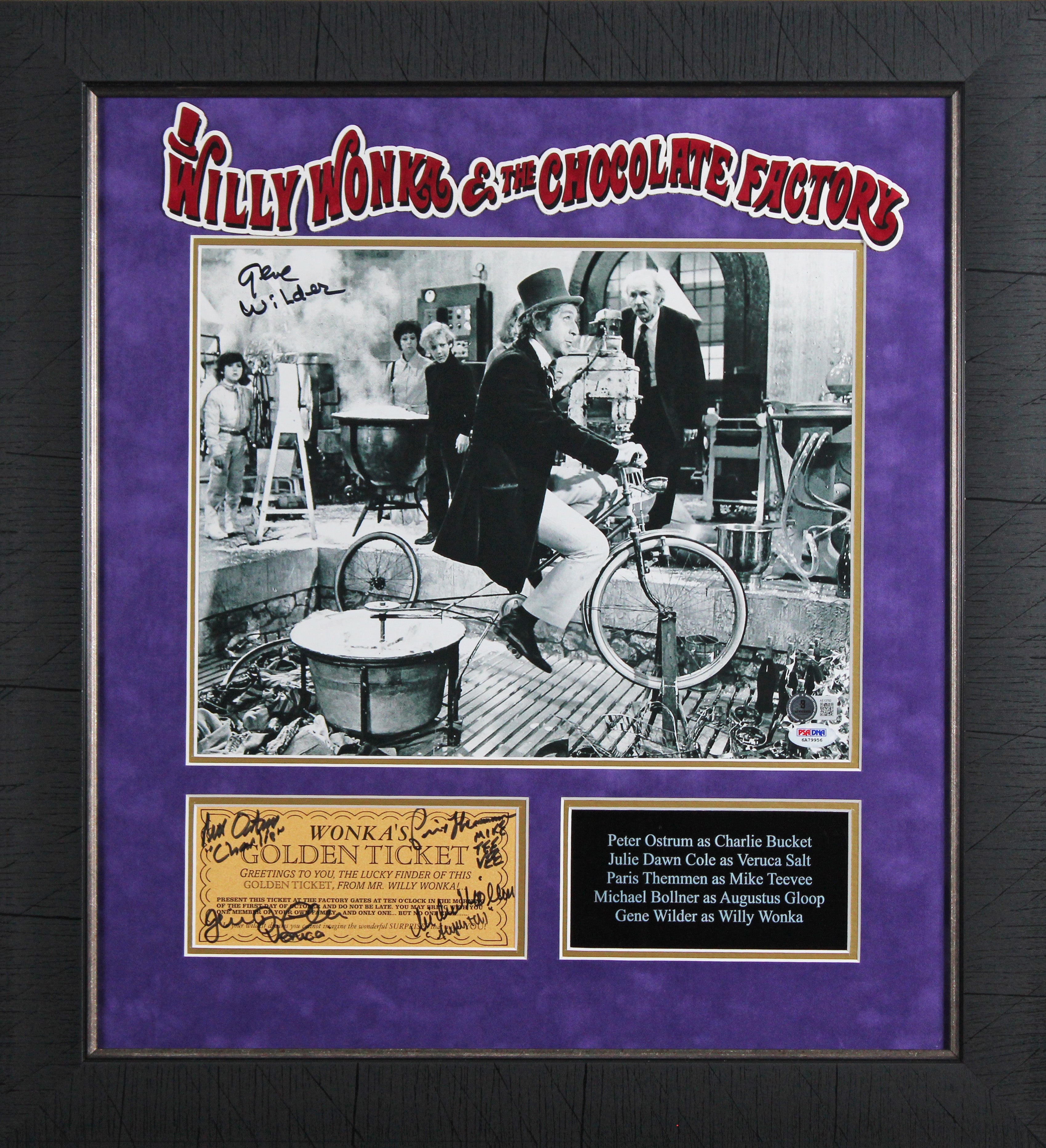 (5) Wilder, Ostrum, Cole, Themmen & Bollner Signed Framed Display BAS #AE13793