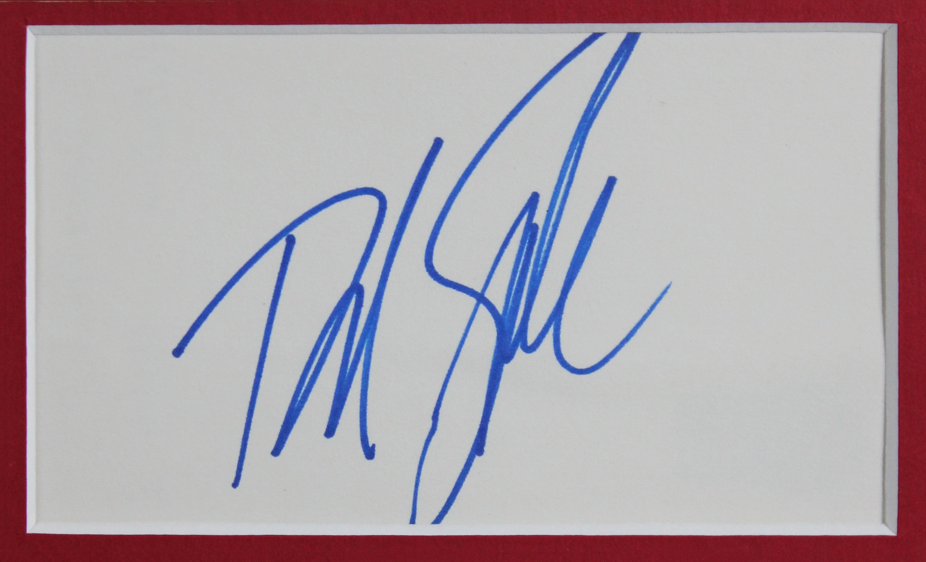Adam Sandler & David Spade Grown Ups Authentic Signed Framed Display BAS