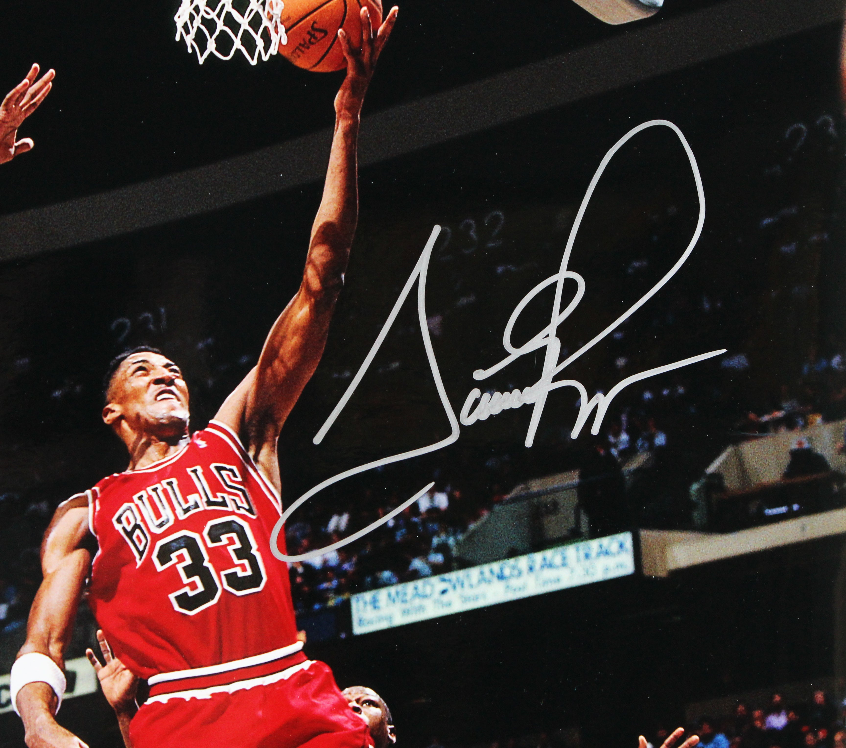 Bulls Scottie Pippen Authentic Signed 16x20 Vertical Photo BAS #BW21111