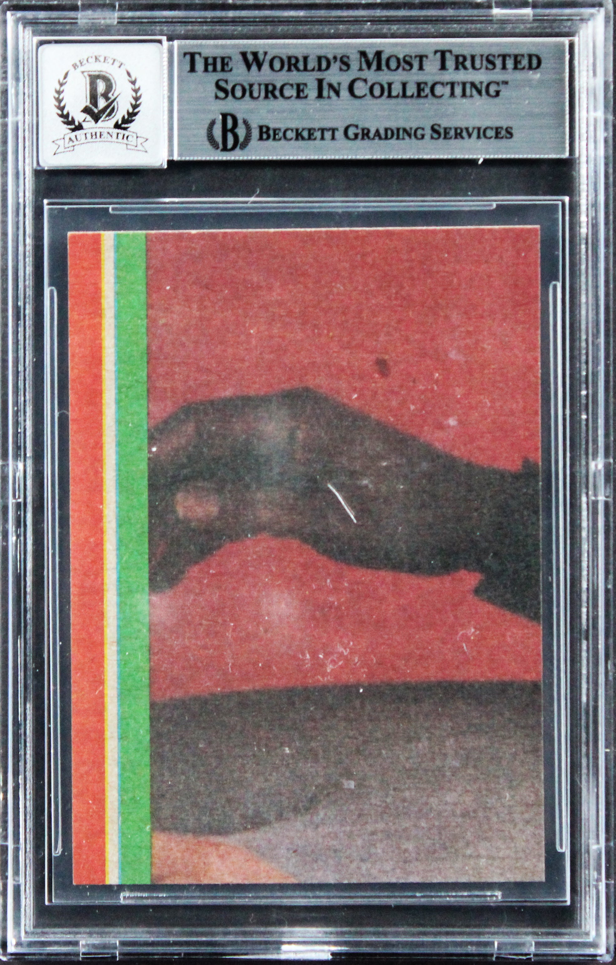 William Shatner Signed 1979 Star Trek #10 James T. Kirk Card Auto 10! BAS Slab