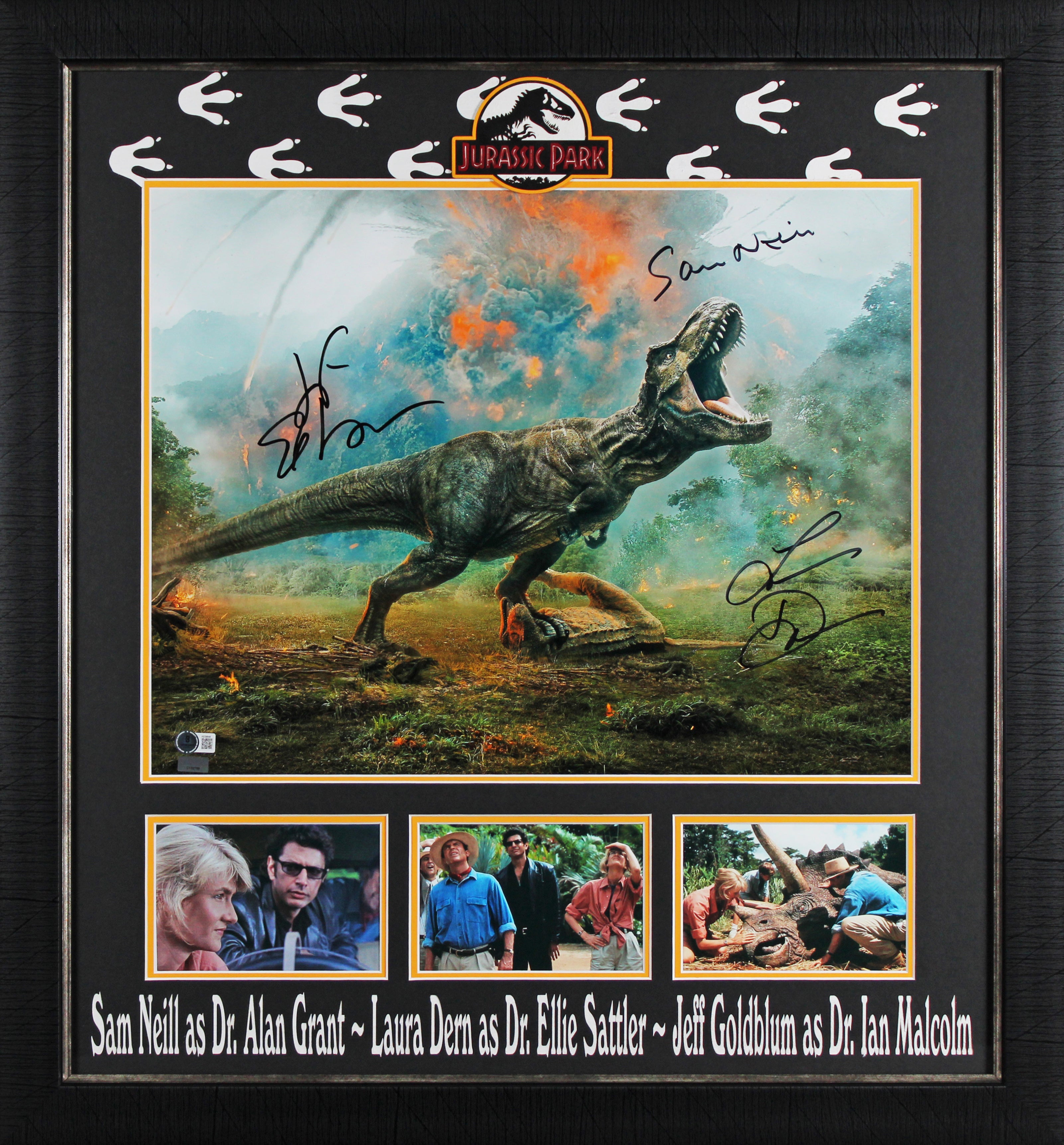 Jurassic Park (3) Neil, Dern & Goldblum Signed 16x20 Framed Photo BAS LOA