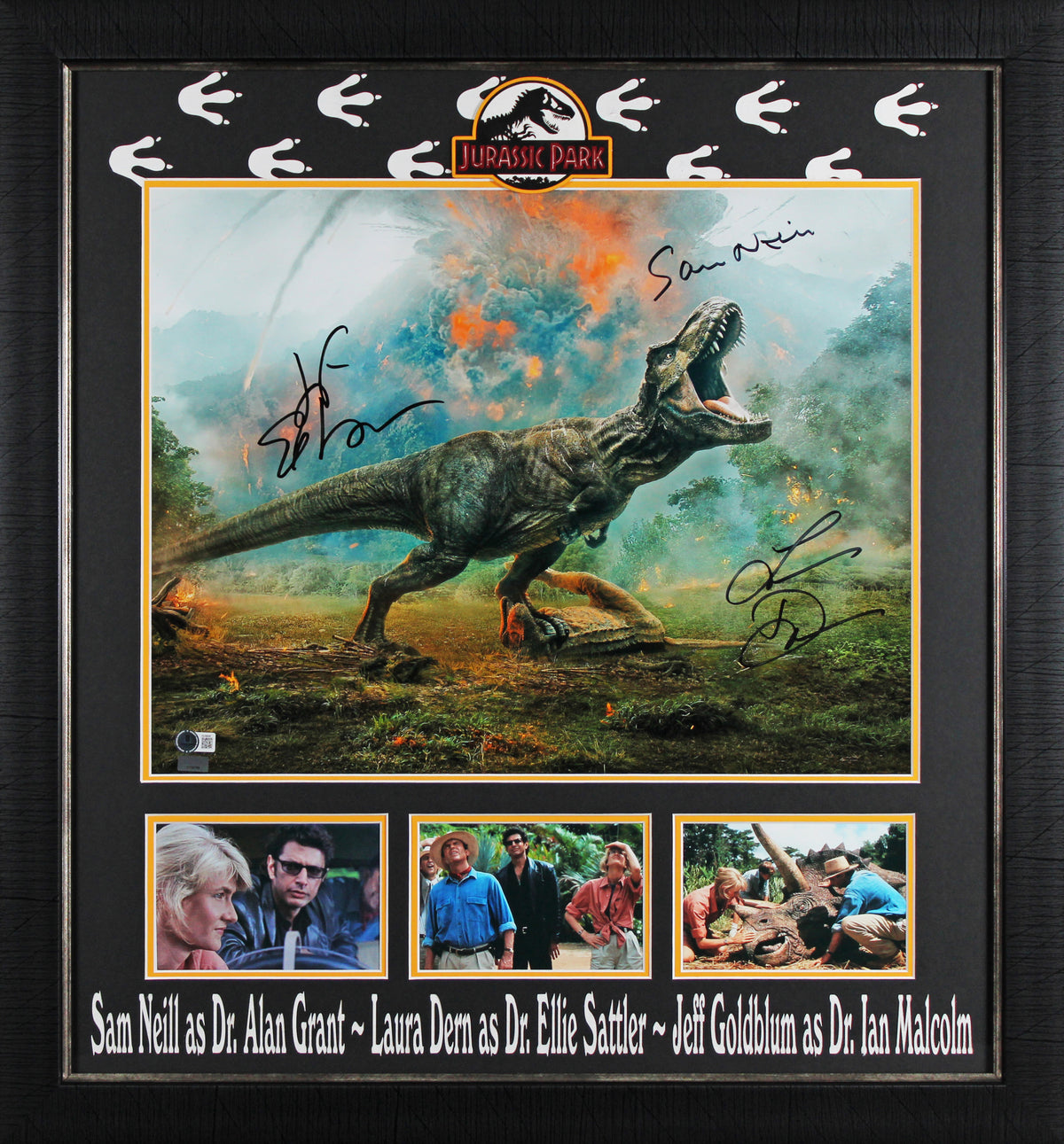 Jurassic Park (3) Neil, Dern & Goldblum Signed 16x20 Framed Photo BAS #AE09648