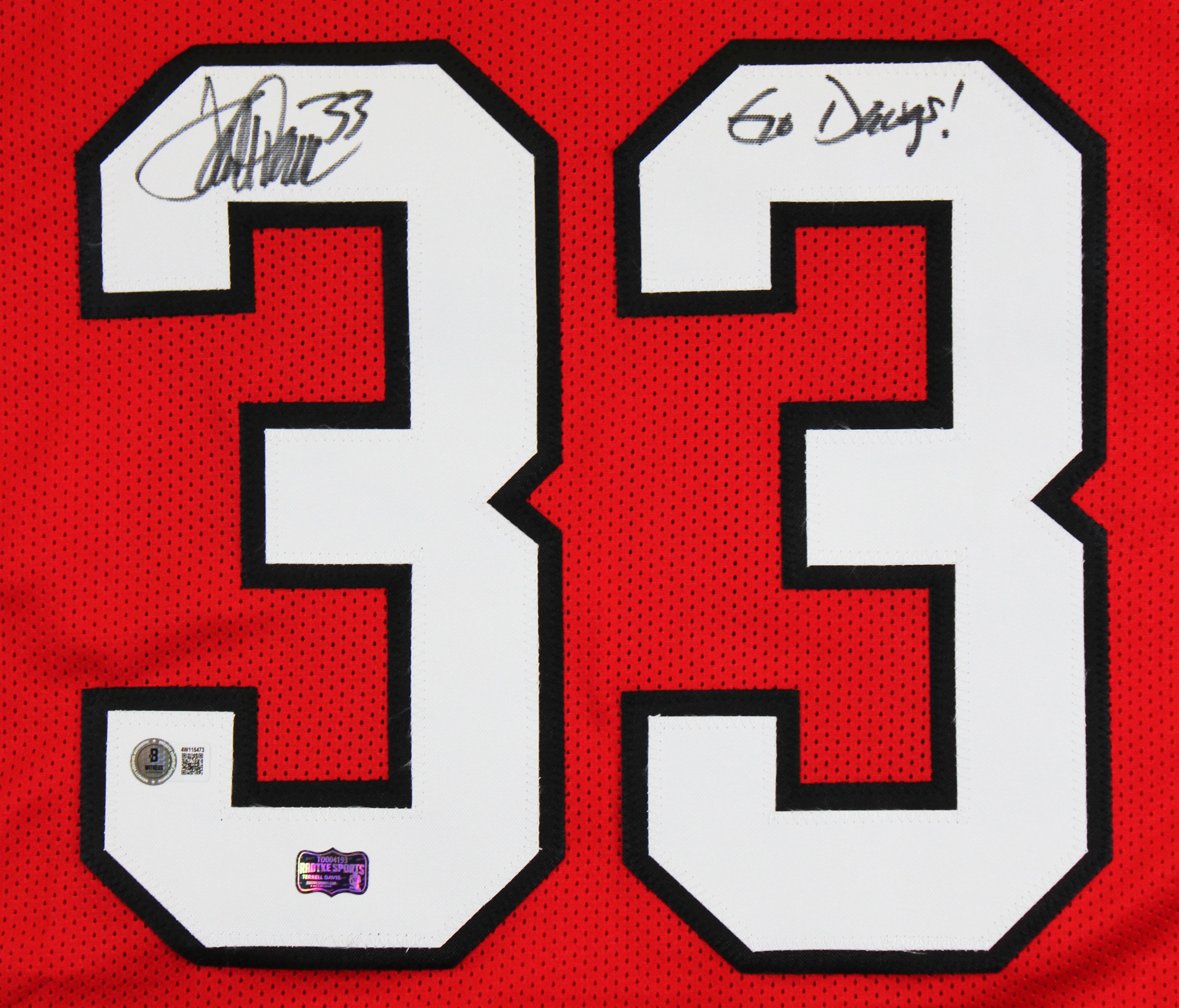 Georgia Terrell Davis "Go Dawgs" Signed Red Pro Style Framed Jersey BAS Witness