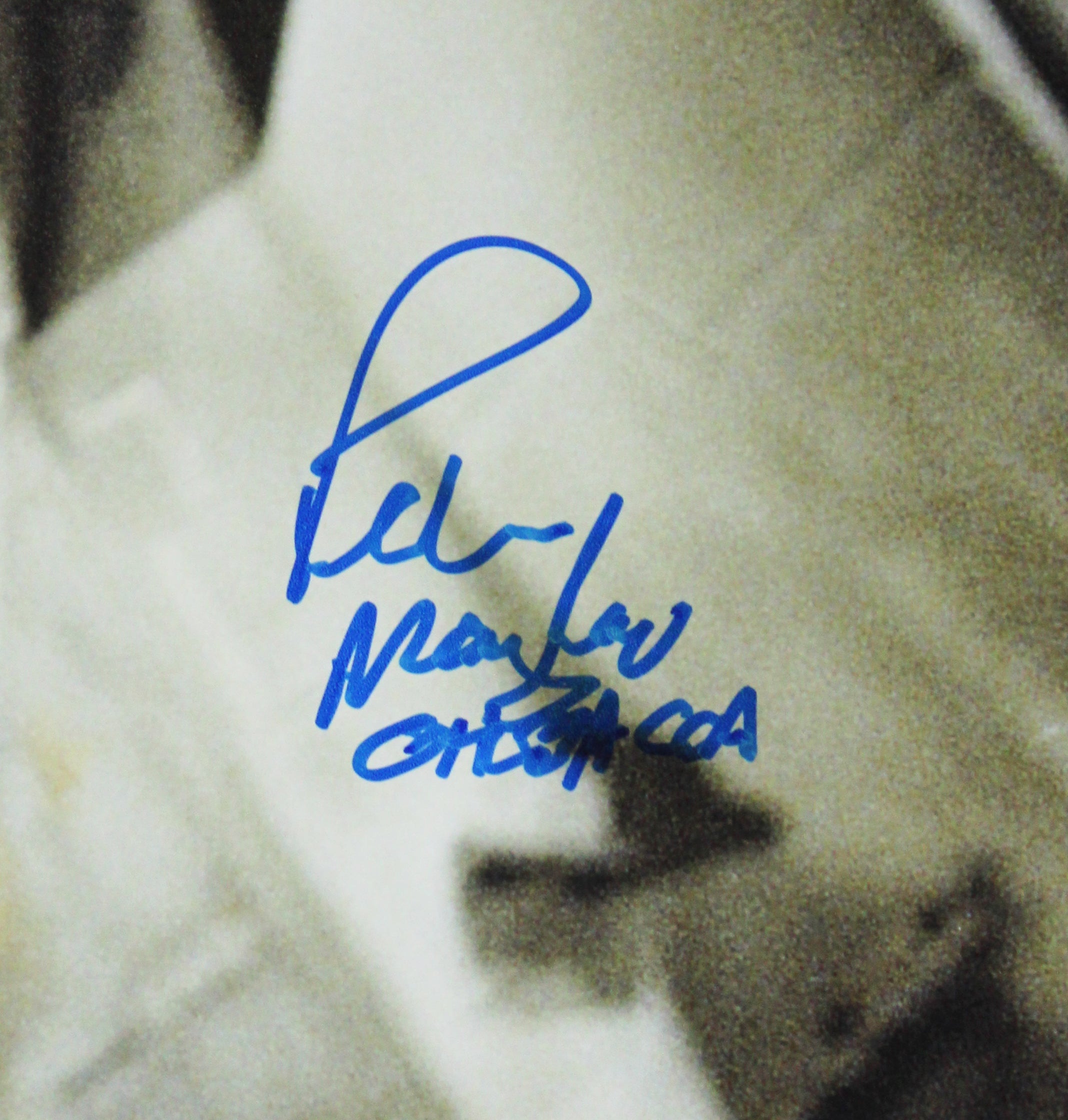 Harrison Ford & Peter Mayhew Star Wars Signed 16x20 Framed Photo BAS #AE40565