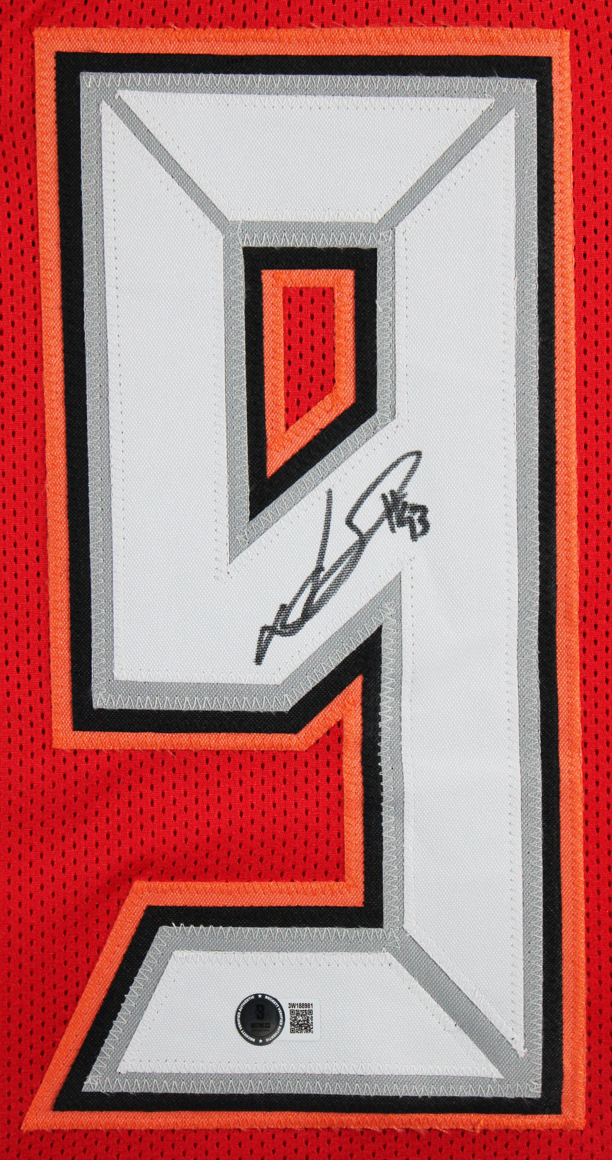 Ndamukong Suh Authentic Signed Red Pro Style Framed Jersey BAS Witnessed