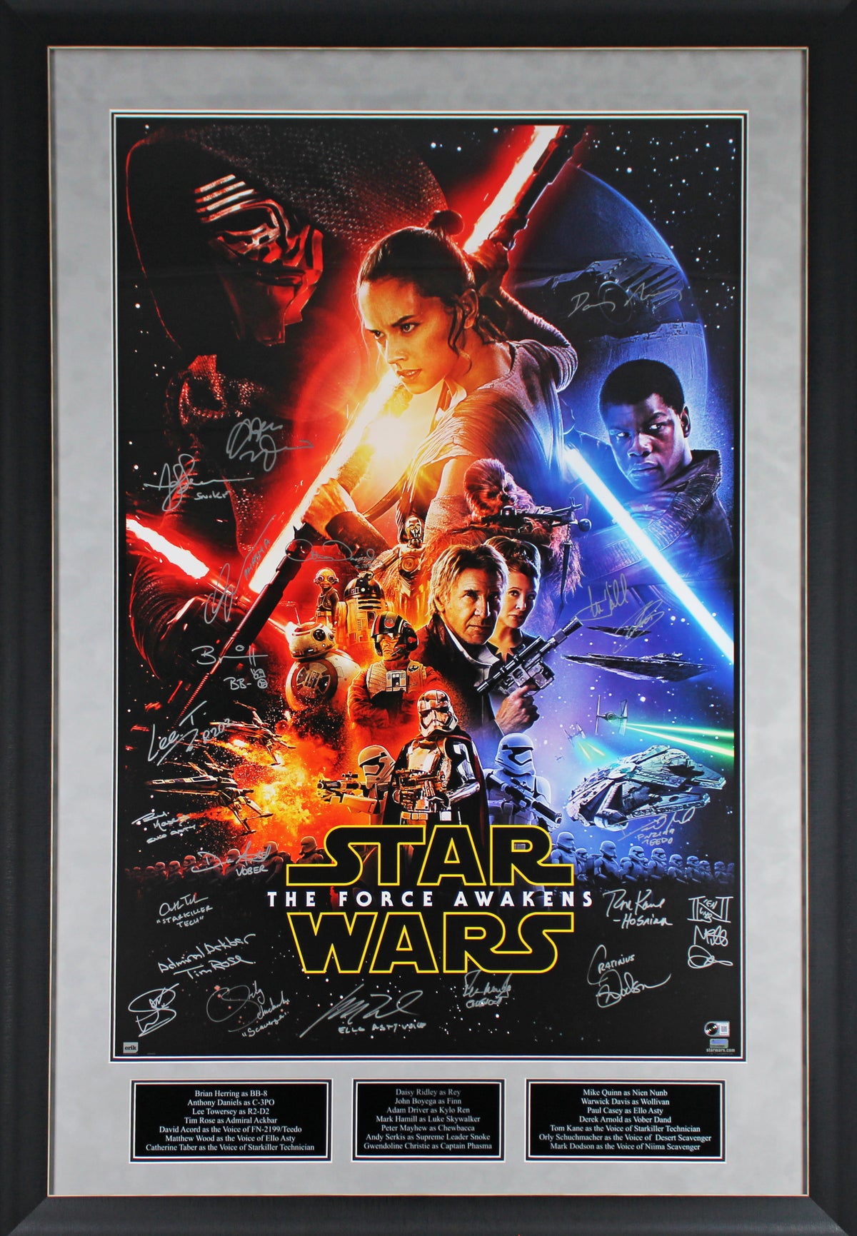 Star Wars (21) Hamill, Ridley, Mayhew, Driver Signed 27x40 Framed Poster BAS LOA