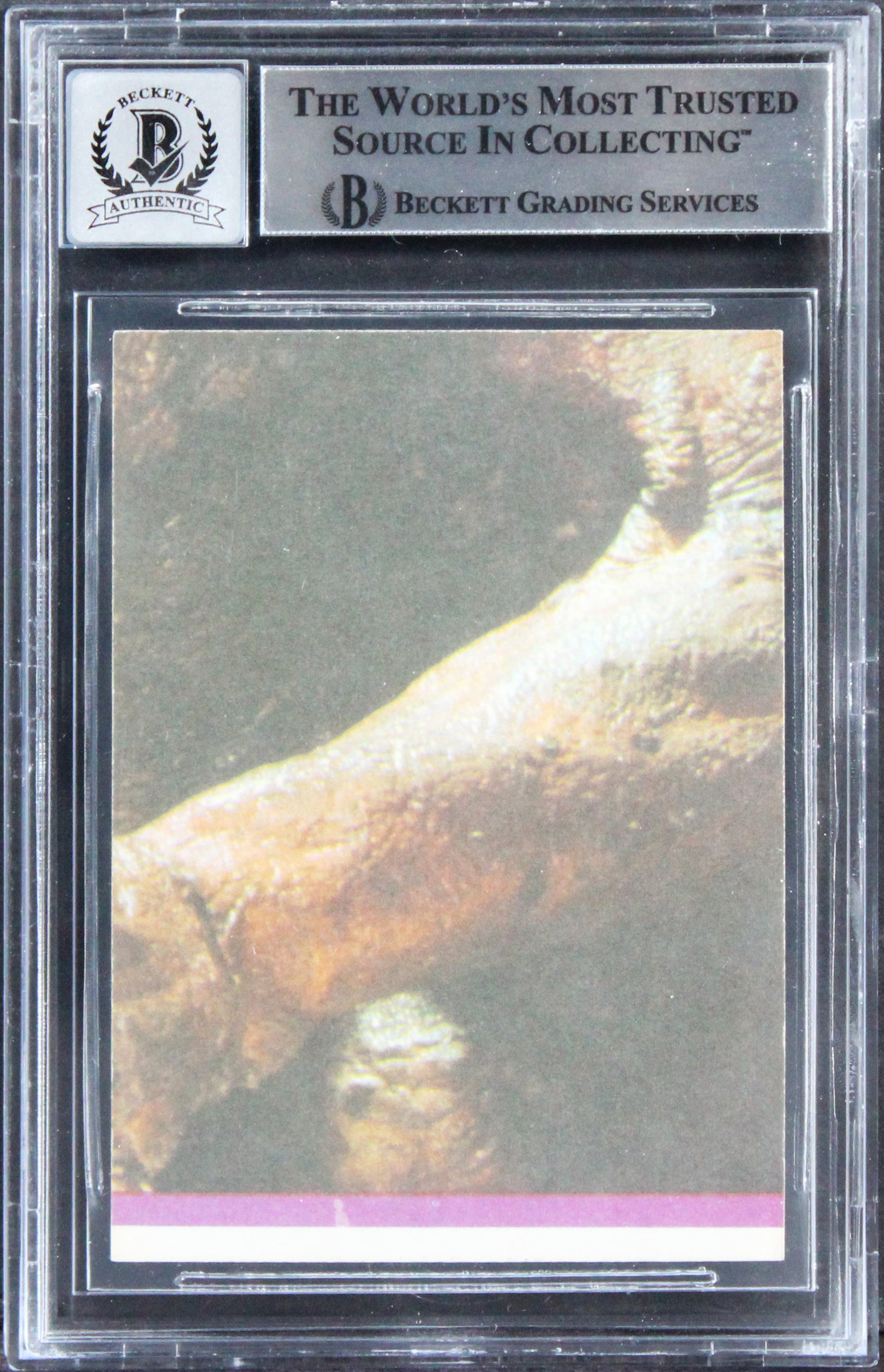 Star Wars (6) Peterson, Huston +4 1983 ROTJ Stickers #44 Card Auto 10! BAS Slab