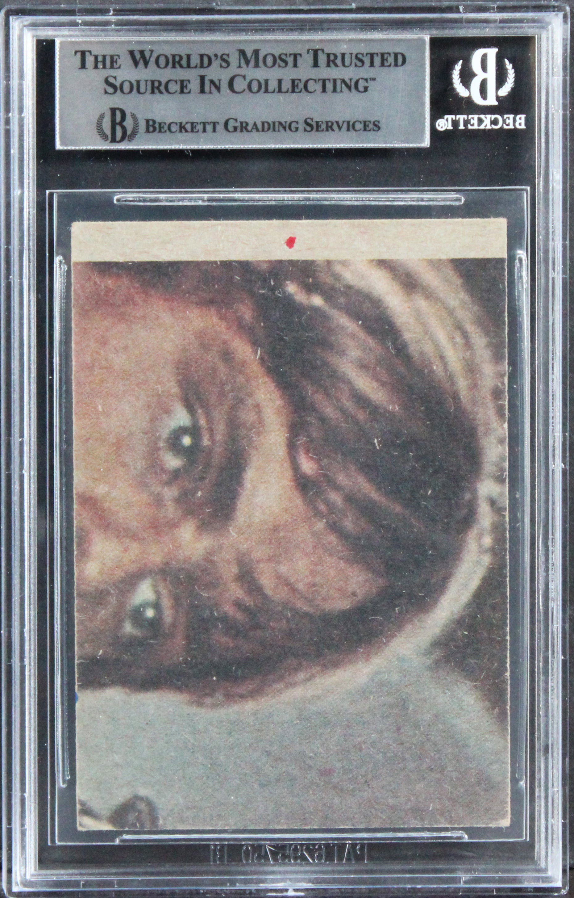 Star Wars (17) Harris, Bayley, Goode +14 Signed 1977 Stormtroopers Card BAS Slab