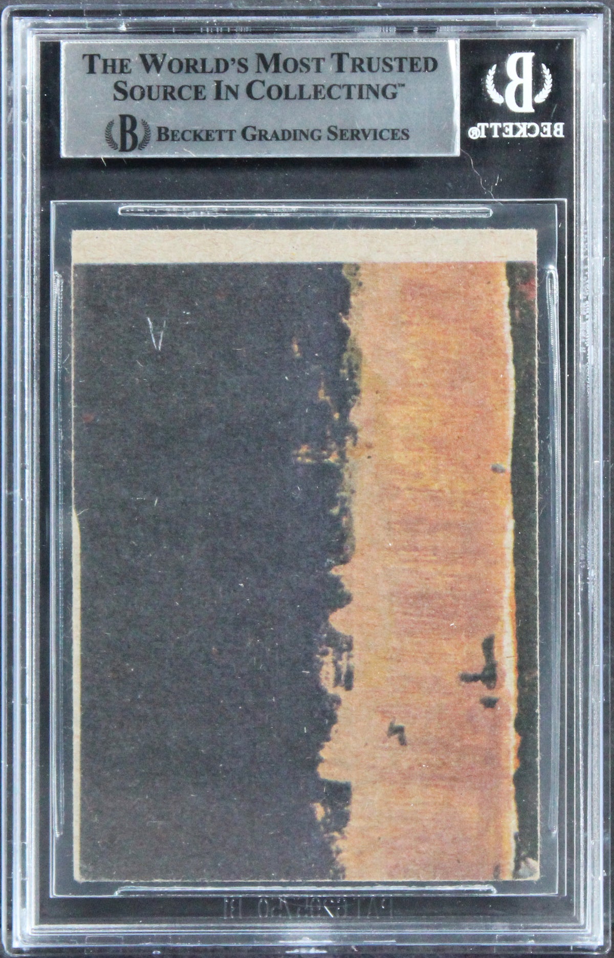 Star Wars (18) Harris, Skeaping, Henson +15 1977 Stormtroopers Card BAS Slabbed
