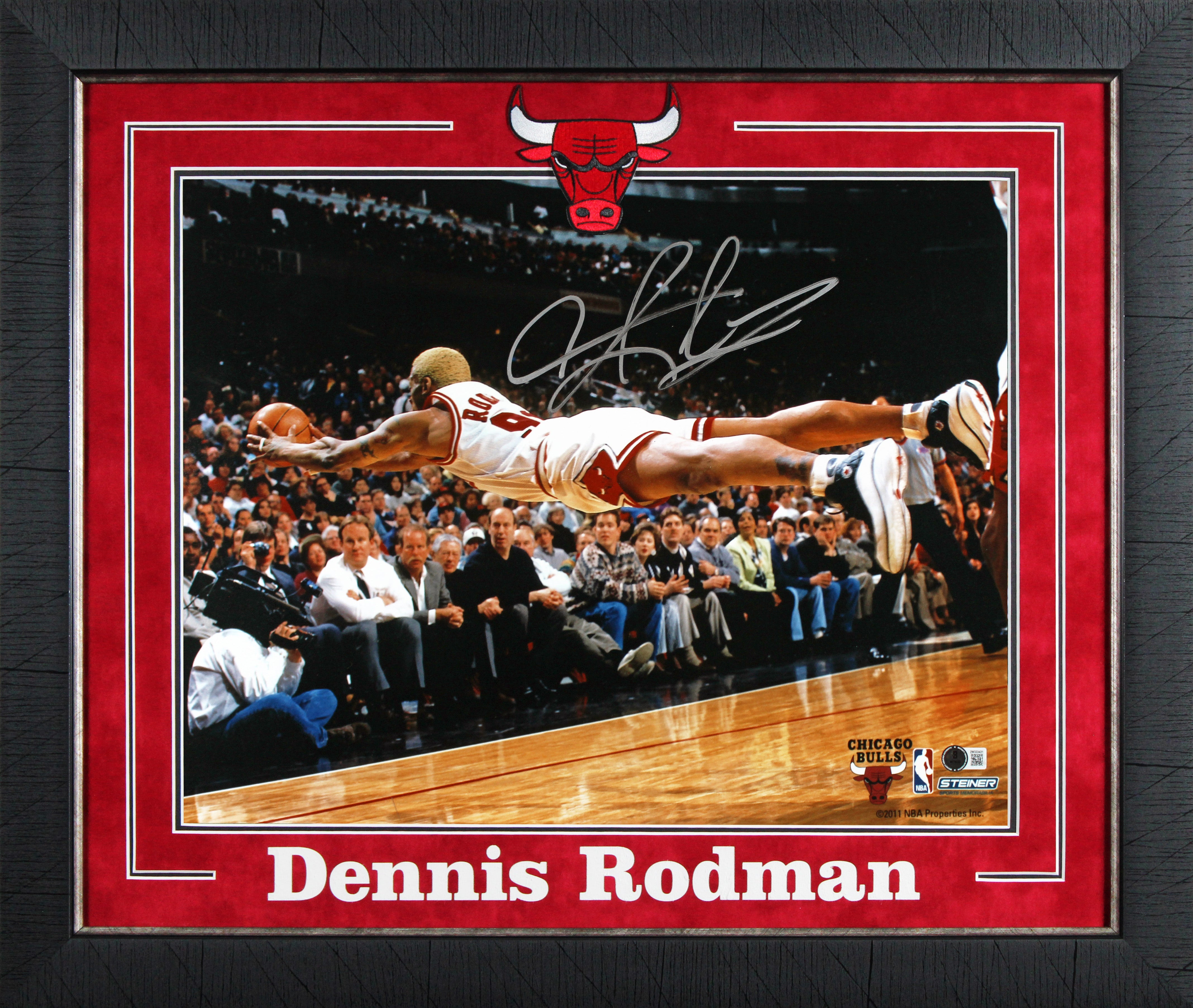 Bulls Dennis Rodman Signed 16x20 Framed Horizontal Diving Photo BAS Witnessed