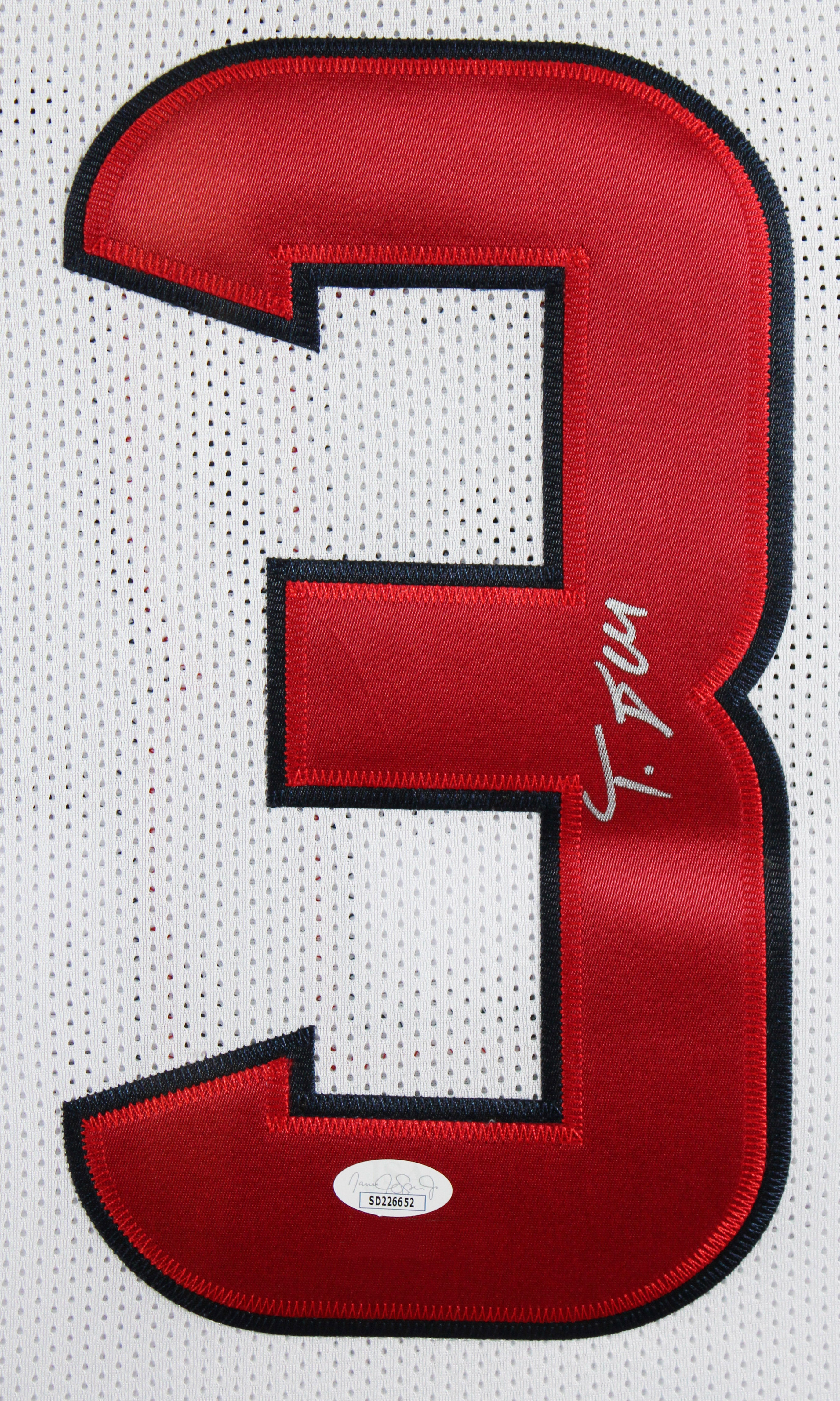 Tank Dell Authentic Signed White Pro Style Framed Jersey BAS Witnessed
