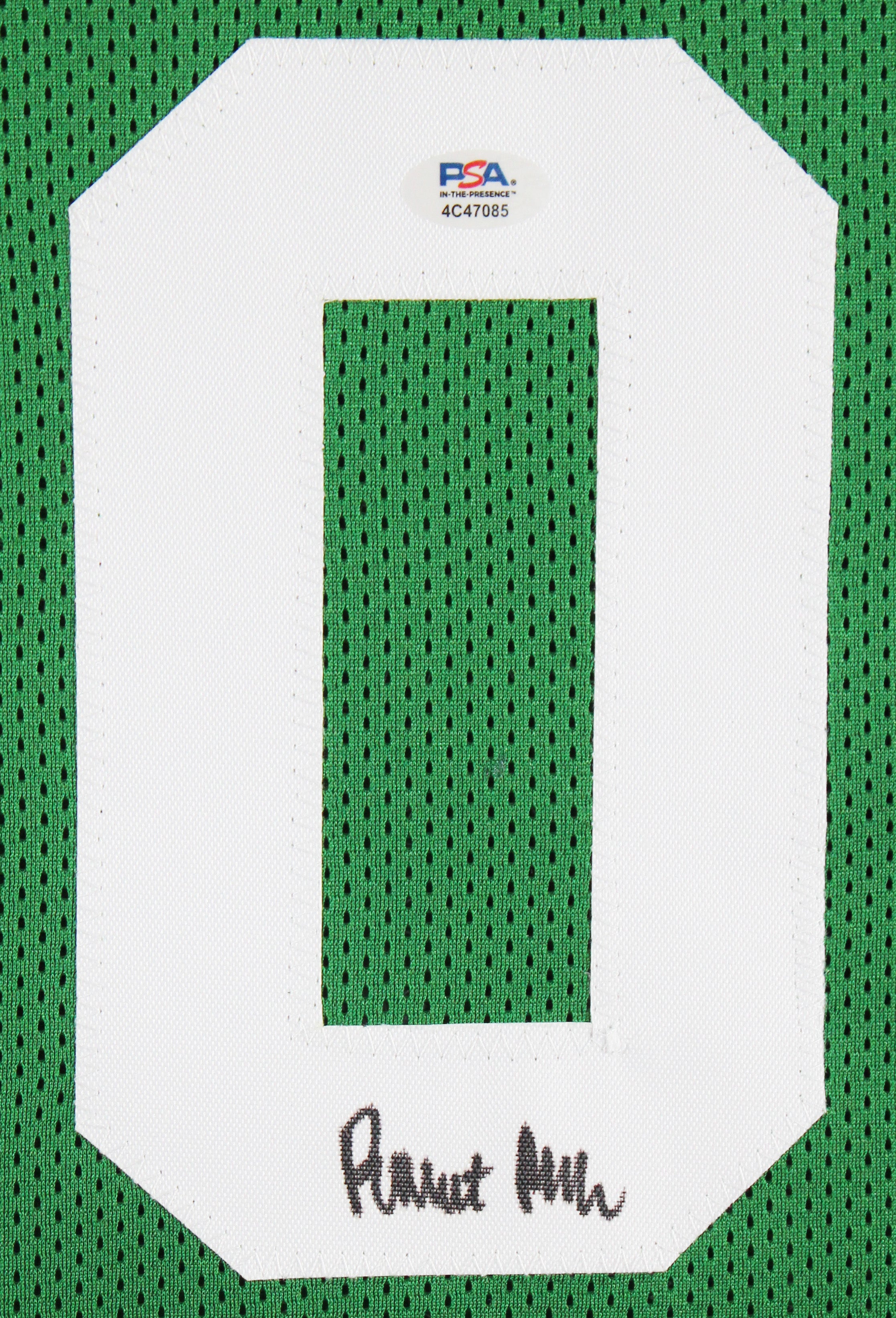 Robert Parish Authentic Signed Green Pro Style Framed Jersey Autographed PSA/DNA