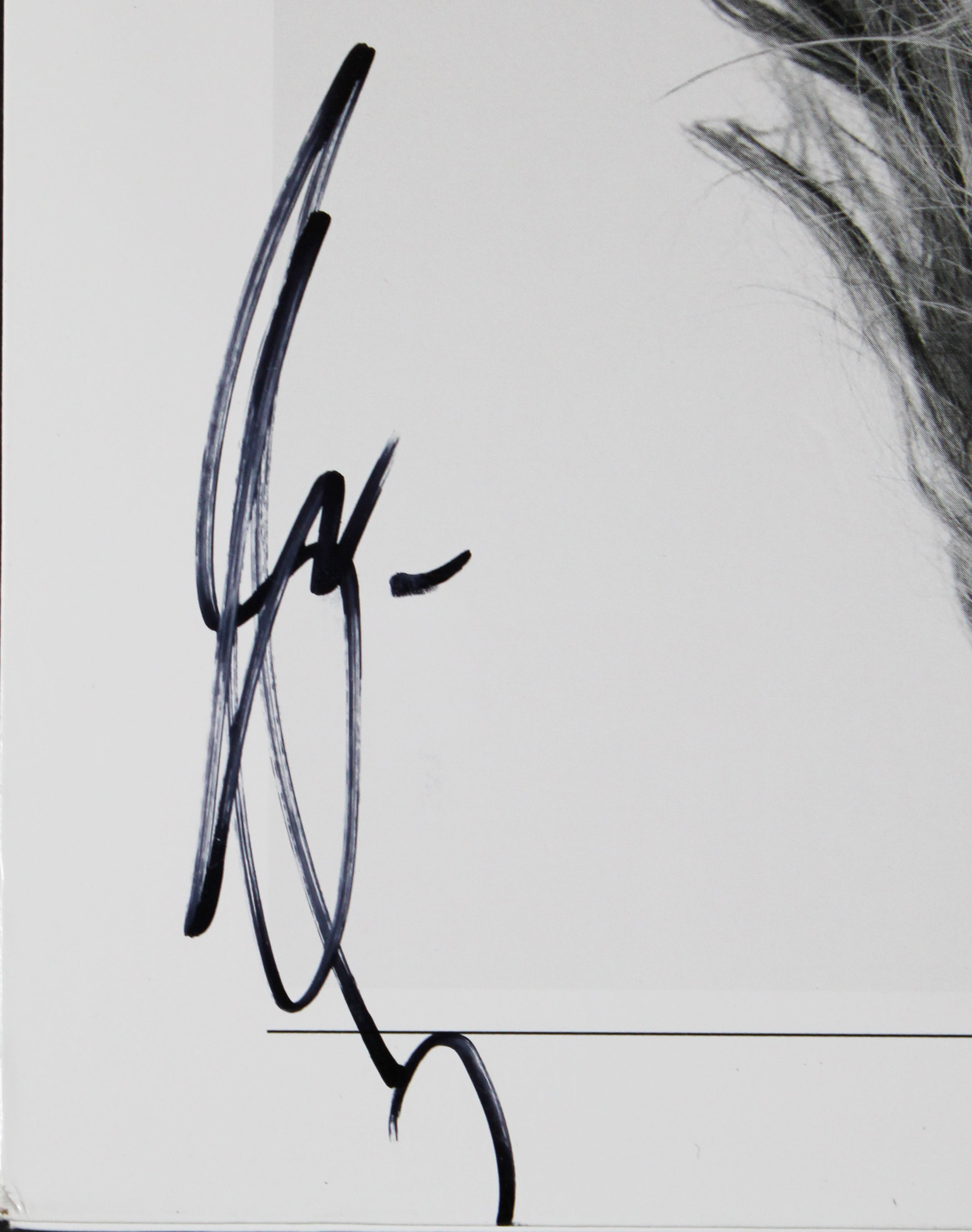 Shania Twain Authentic Signed Now Album Cover JSA #CF71376