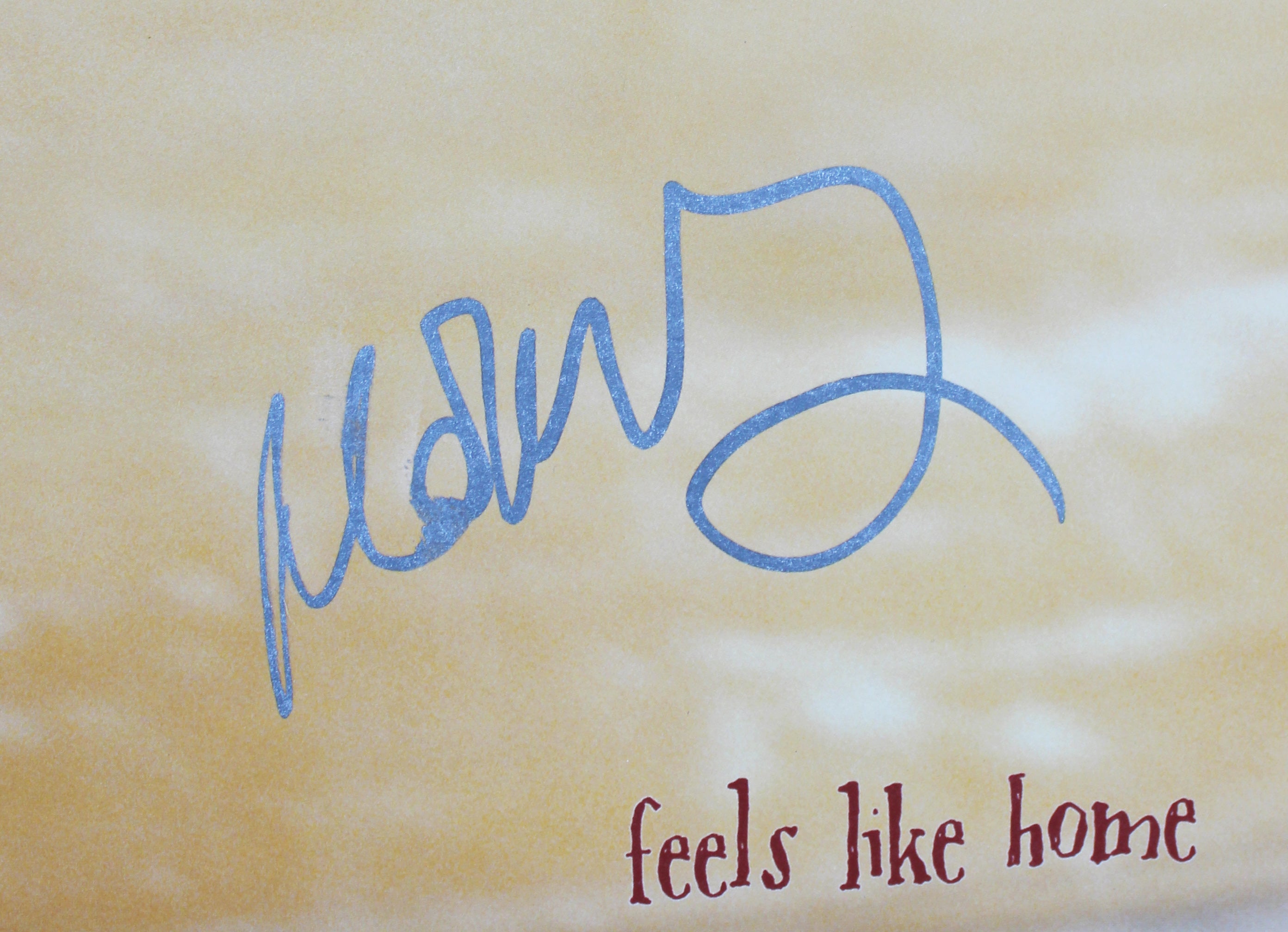 Norah Jones Authentic Signed Feels Like Home Album Cover W/ Vinyl BAS #CF71442
