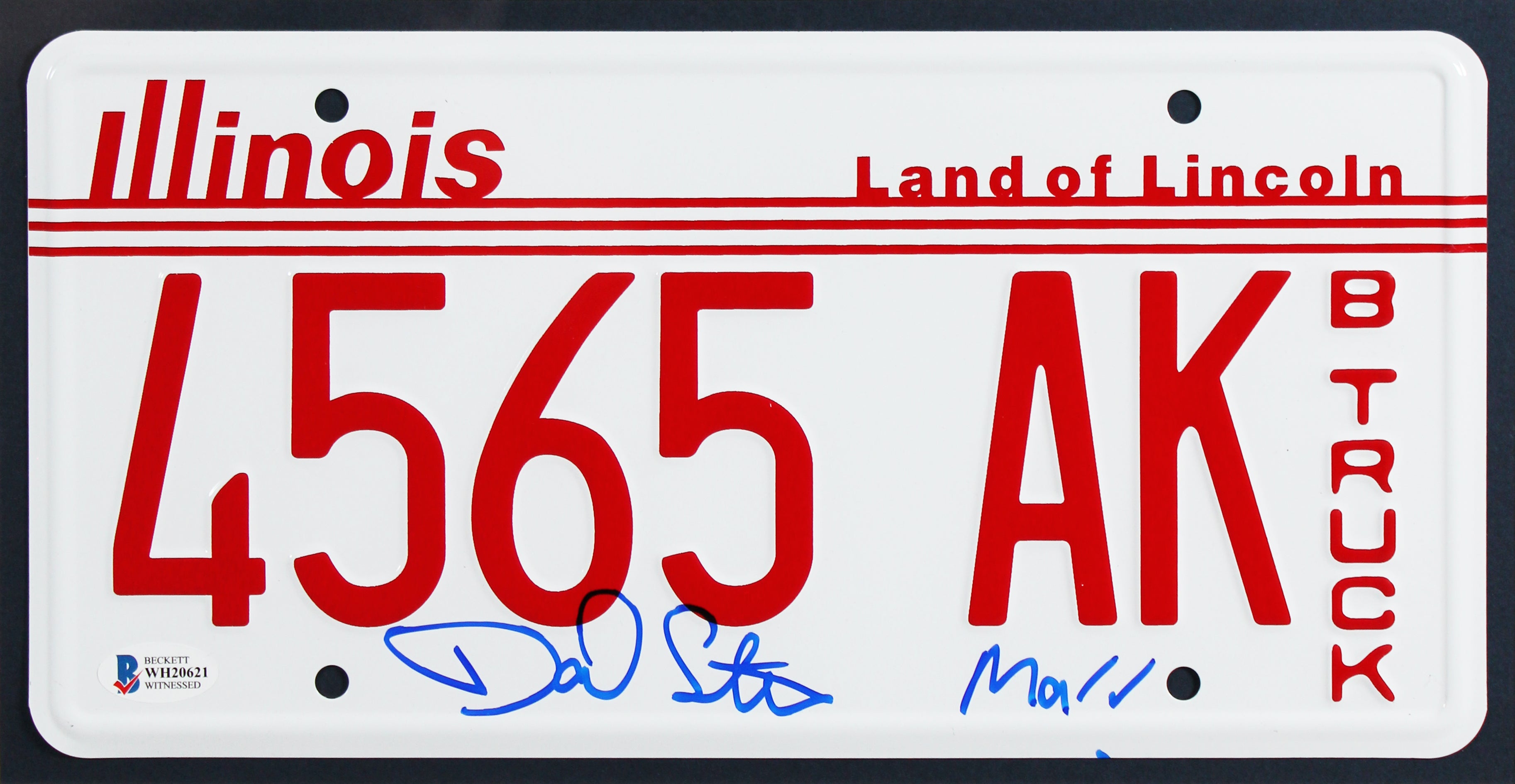 Daniel Stern Home Alone Authentic Signed License Plate Framed Display BAS