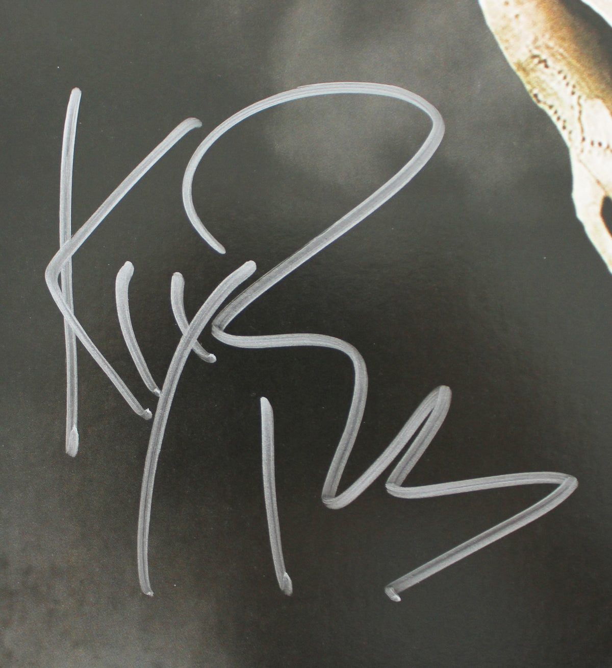 Kix Brooks & Ronnie Dunn Brooks & Dunn Signed Reboot Album Cover W/ Vinyl BAS