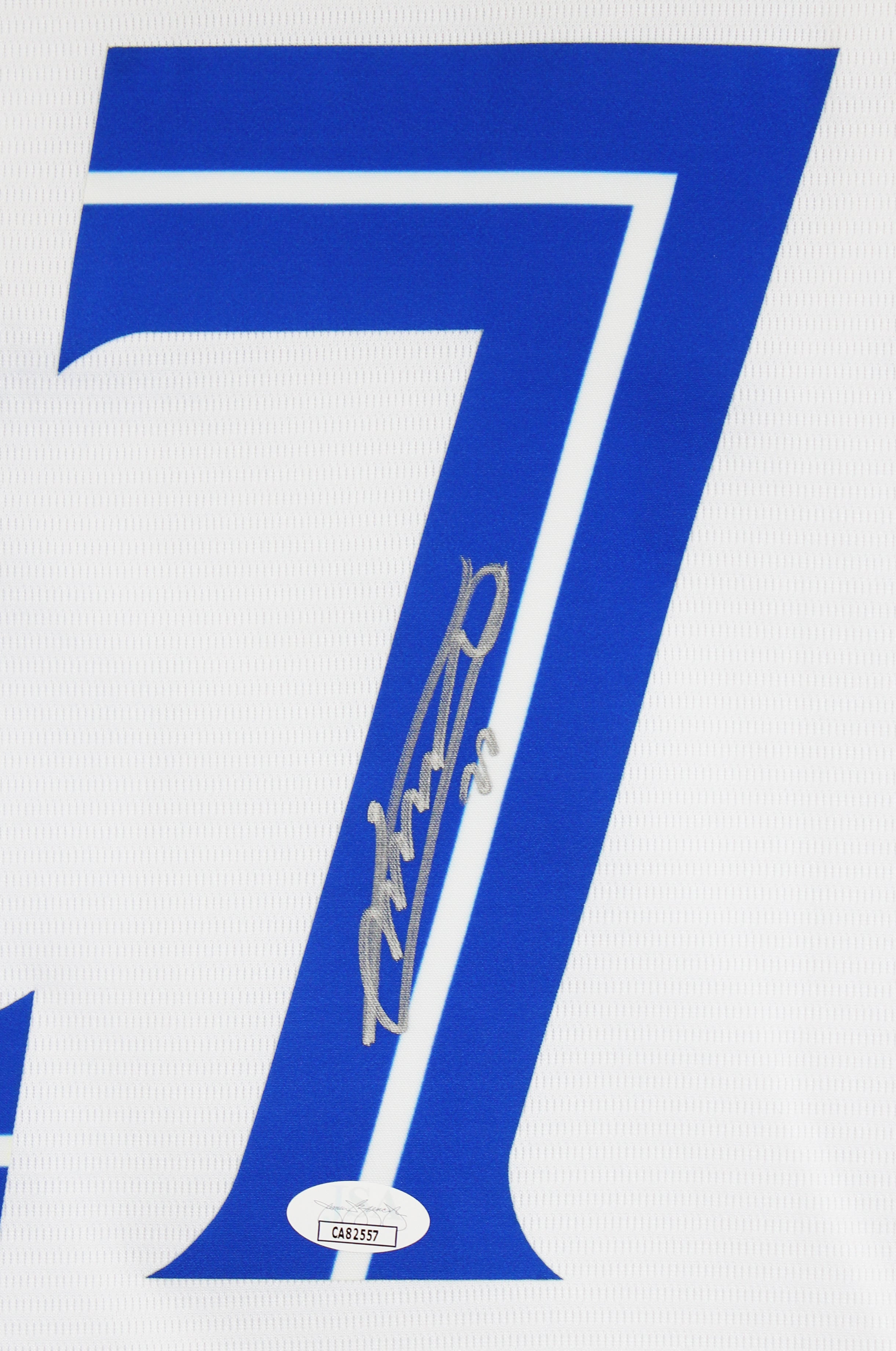 Vladimir Guerrero Jr. Authentic Signed White Pro Style Framed Jersey JSA