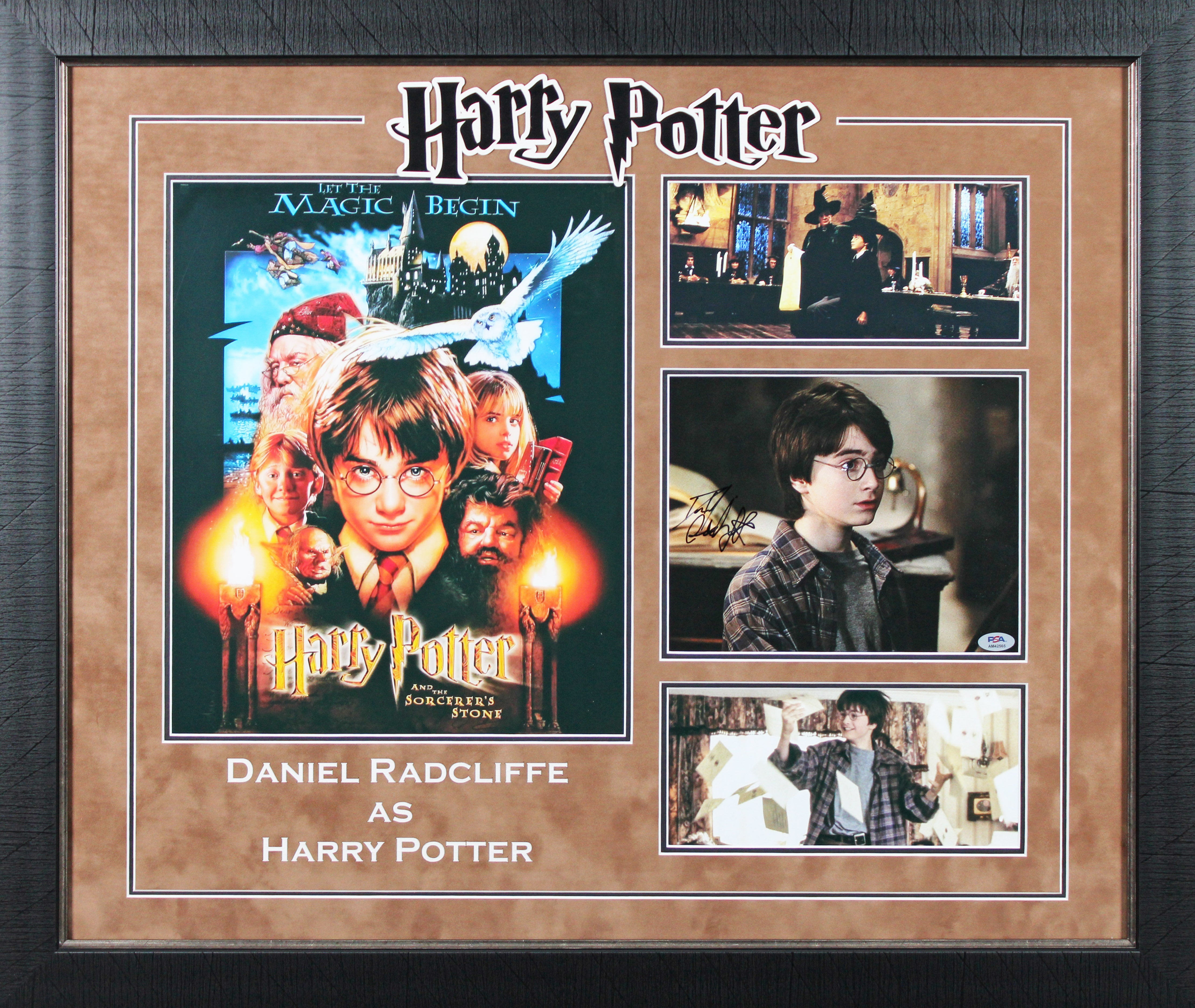 Daniel Radcliffe Harry Potter Authentic Signed Framed Display PSA/DNA #AM42565