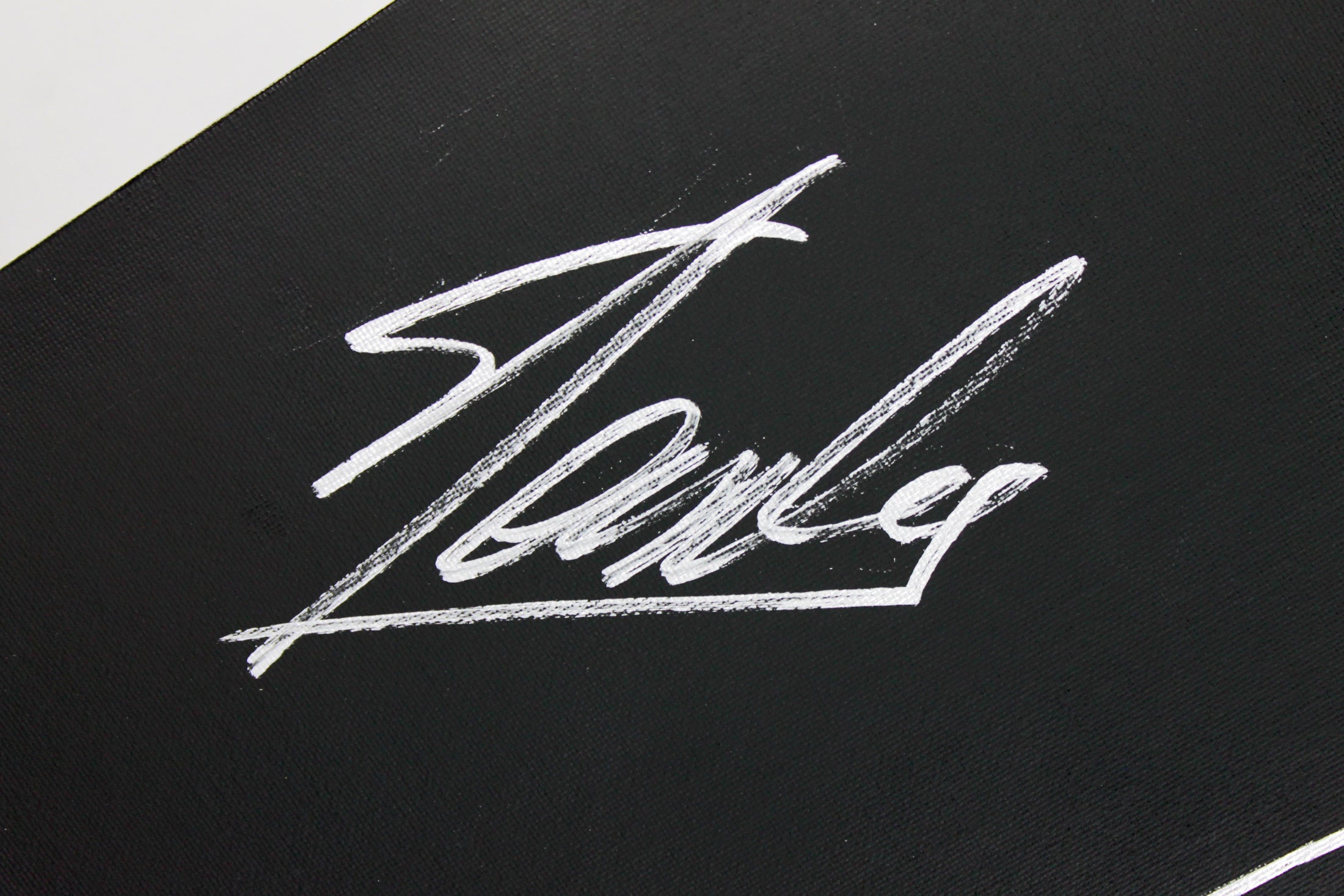 Stan Lee Authentic Signed 16x20 Canvas w/ Spider-man Sketch PSA/DNA #W00383