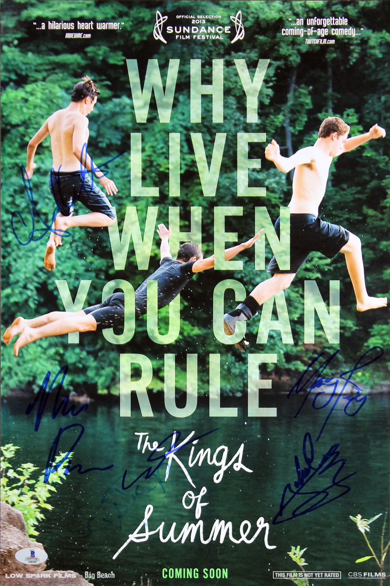 The Kings of Summer (5) Basso, Robinson +3 Signed 12x18 Movie Poster BAS #A00383