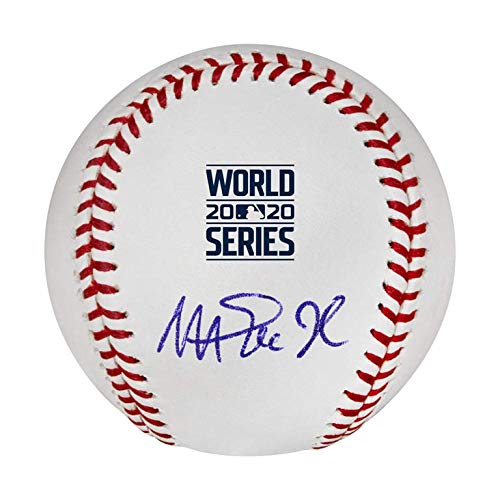 Dodgers Magic Johnson Signed 2020 World Series Logo Oml Baseball BAS Witnessed