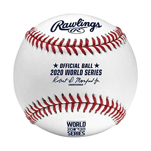 Dodgers Magic Johnson Signed 2020 World Series Logo Oml Baseball BAS Witnessed
