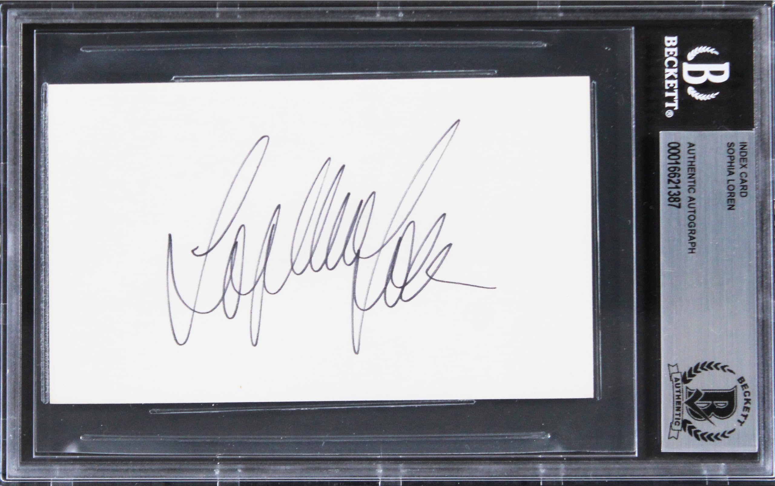 Sophia Loren Two Women Authentic Signed 3x5 Index Card Autographed BAS Slabbed