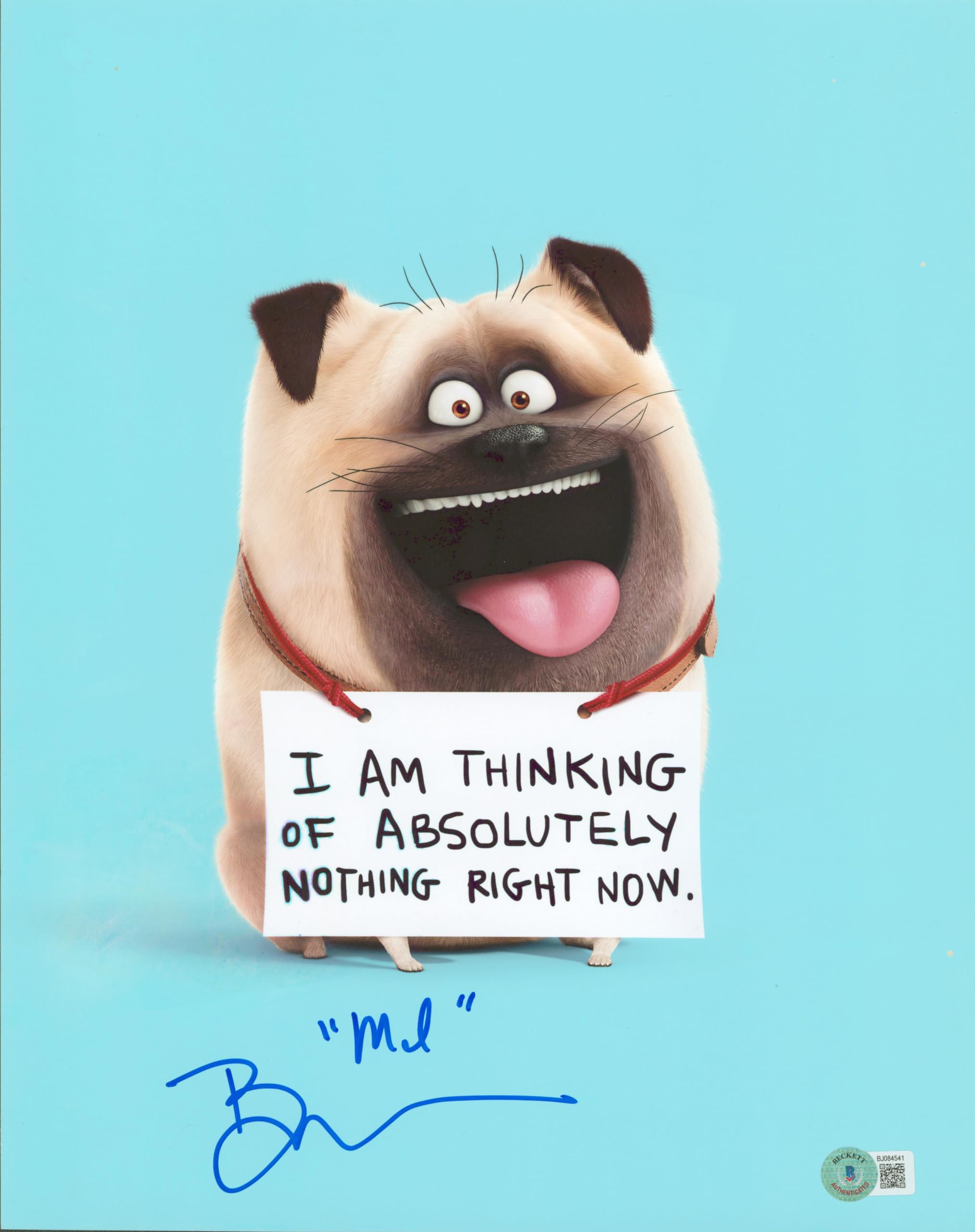 Bobby Moynihan The Secret Life of Pets 2 "Mel" Signed 11x14 Photo BAS #BJ084541