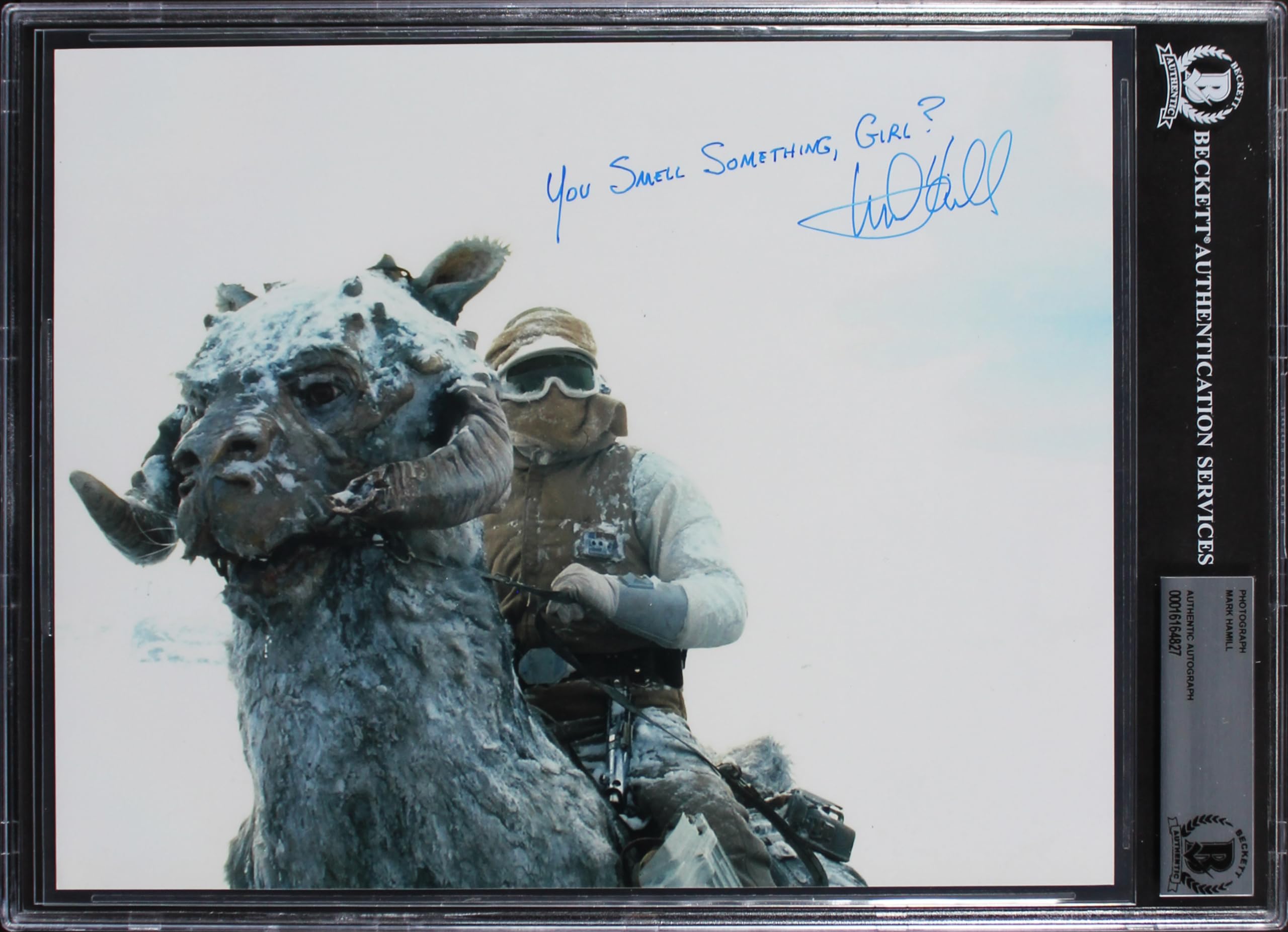 Mark Hamill Star Wars The Empire Strikes Back Signed 8x10 Photo BAS Slabbed