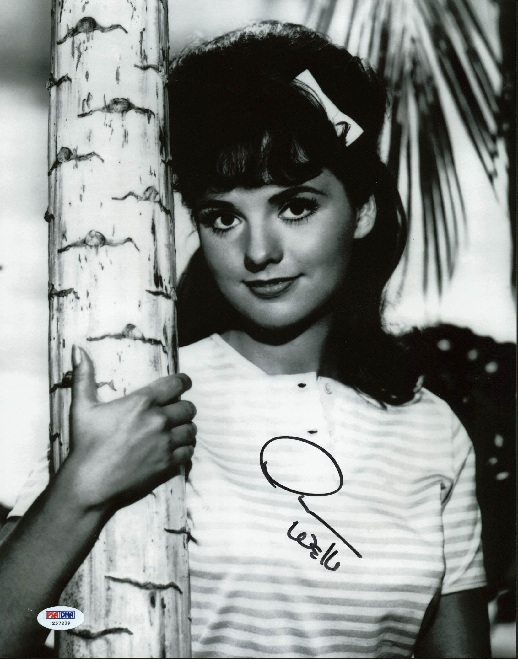 Dawn Wells Gilligan's Island Signed Authentic 11X14 Photo PSA/DNA #Z57239
