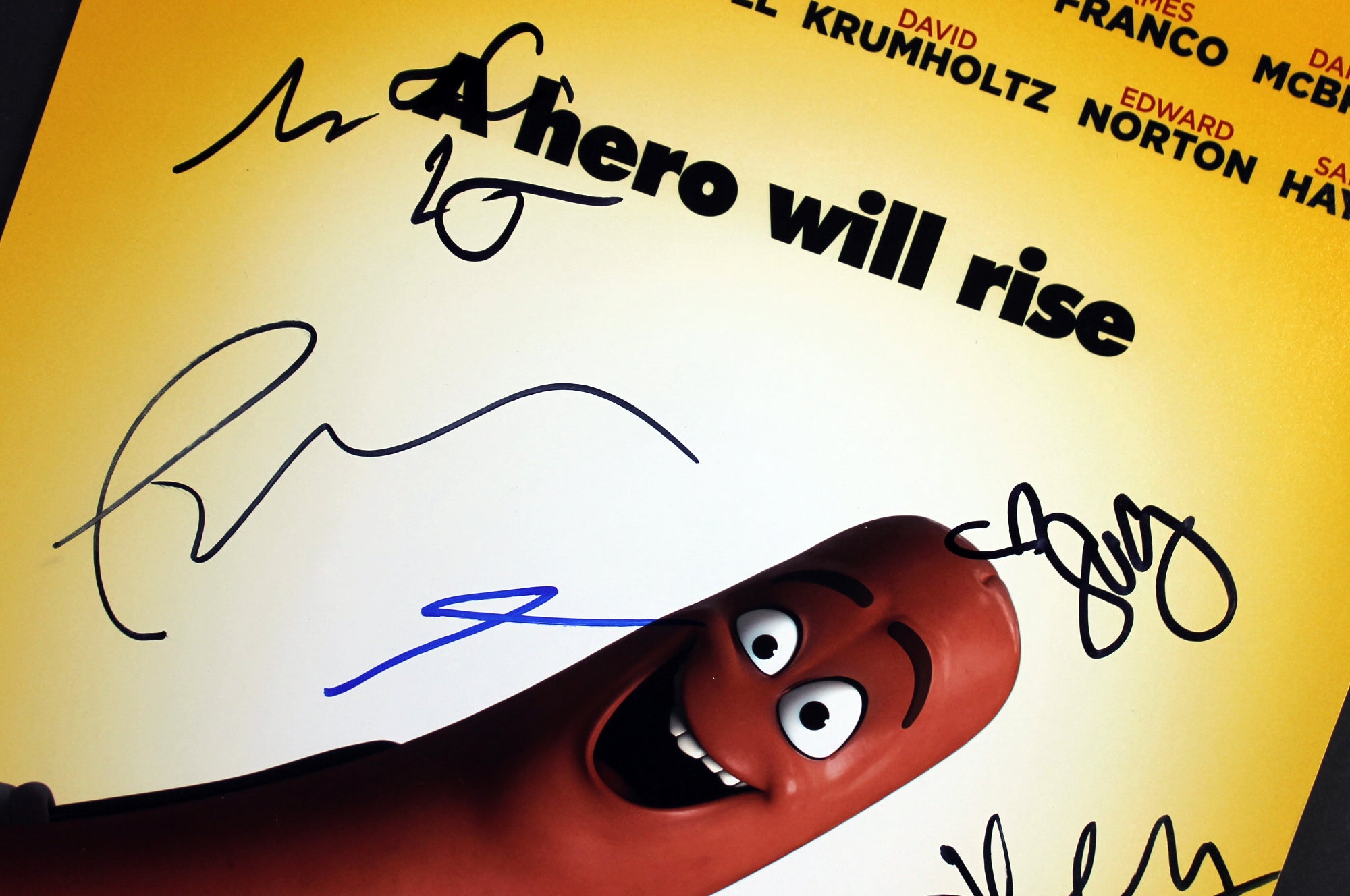 Sausage Party (Paul Rudd, David Krumholtz +8) Signed 12x18 Photo BAS #A85158