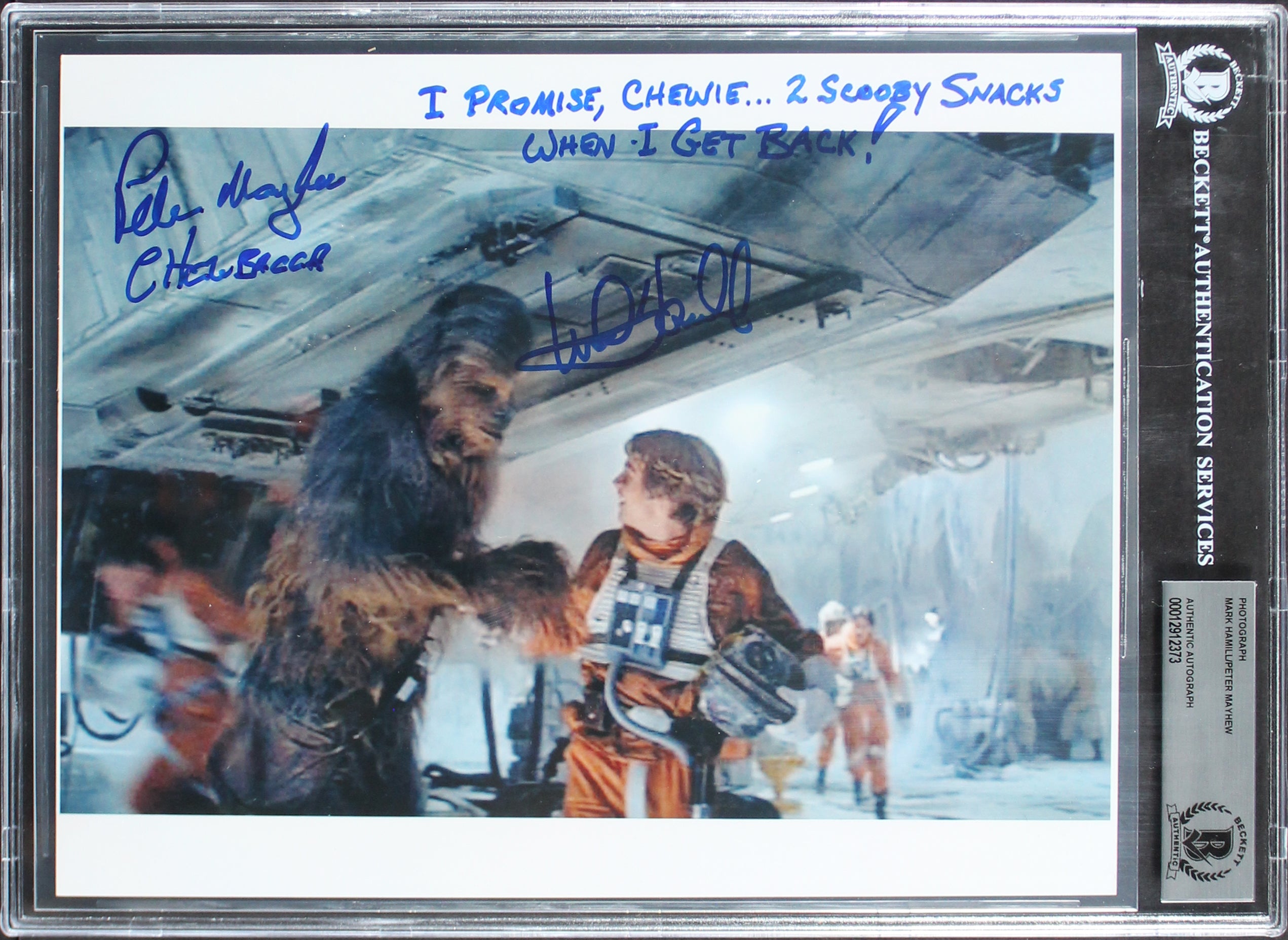Mark Hamill & Peter Mayhew Star Wars Authentic Signed 8x10 Photo BAS Slabbed