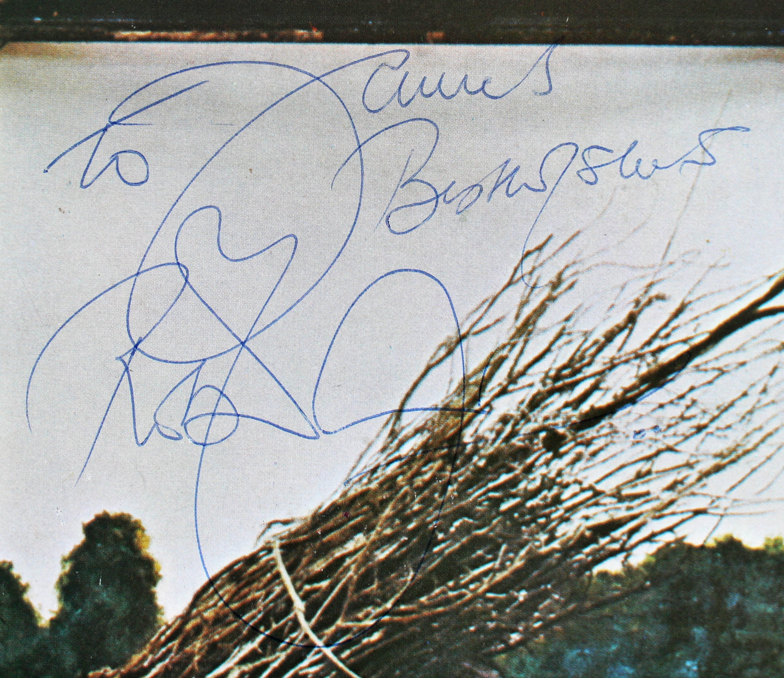 Robert Plant Led Zeppelin Authentic Signed IV Album Cover W/ Vinyl BAS #AB77989