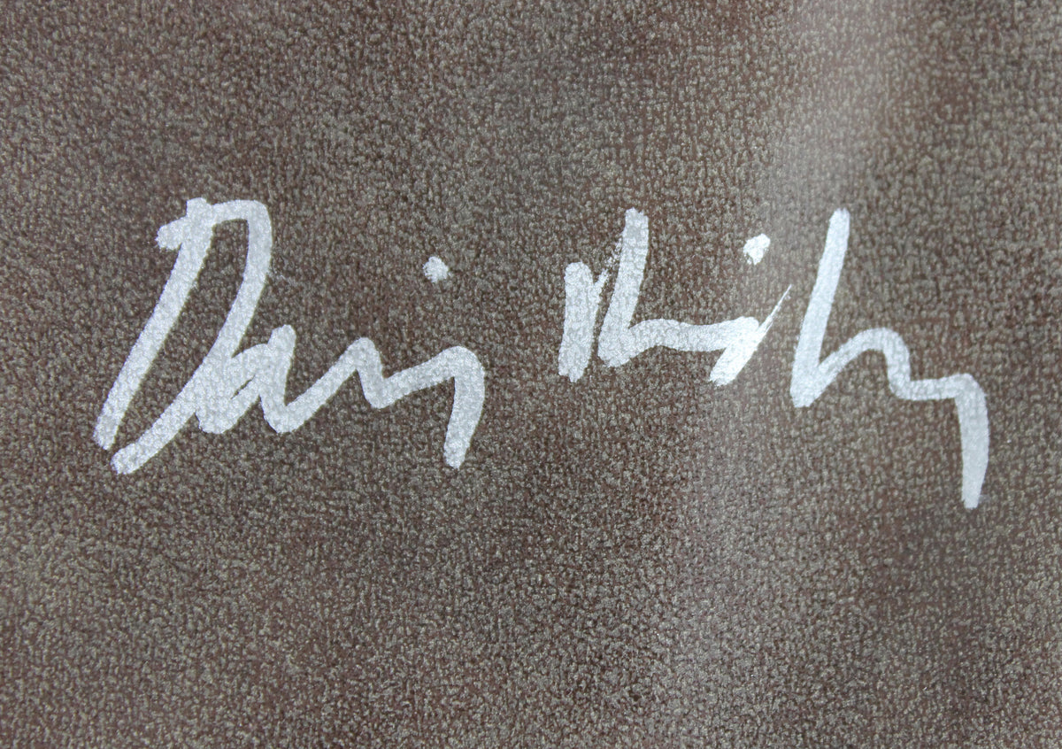 Daisy Ridley Star Wars The Force Awakens Authentic Signed Glove PSA #7A40246