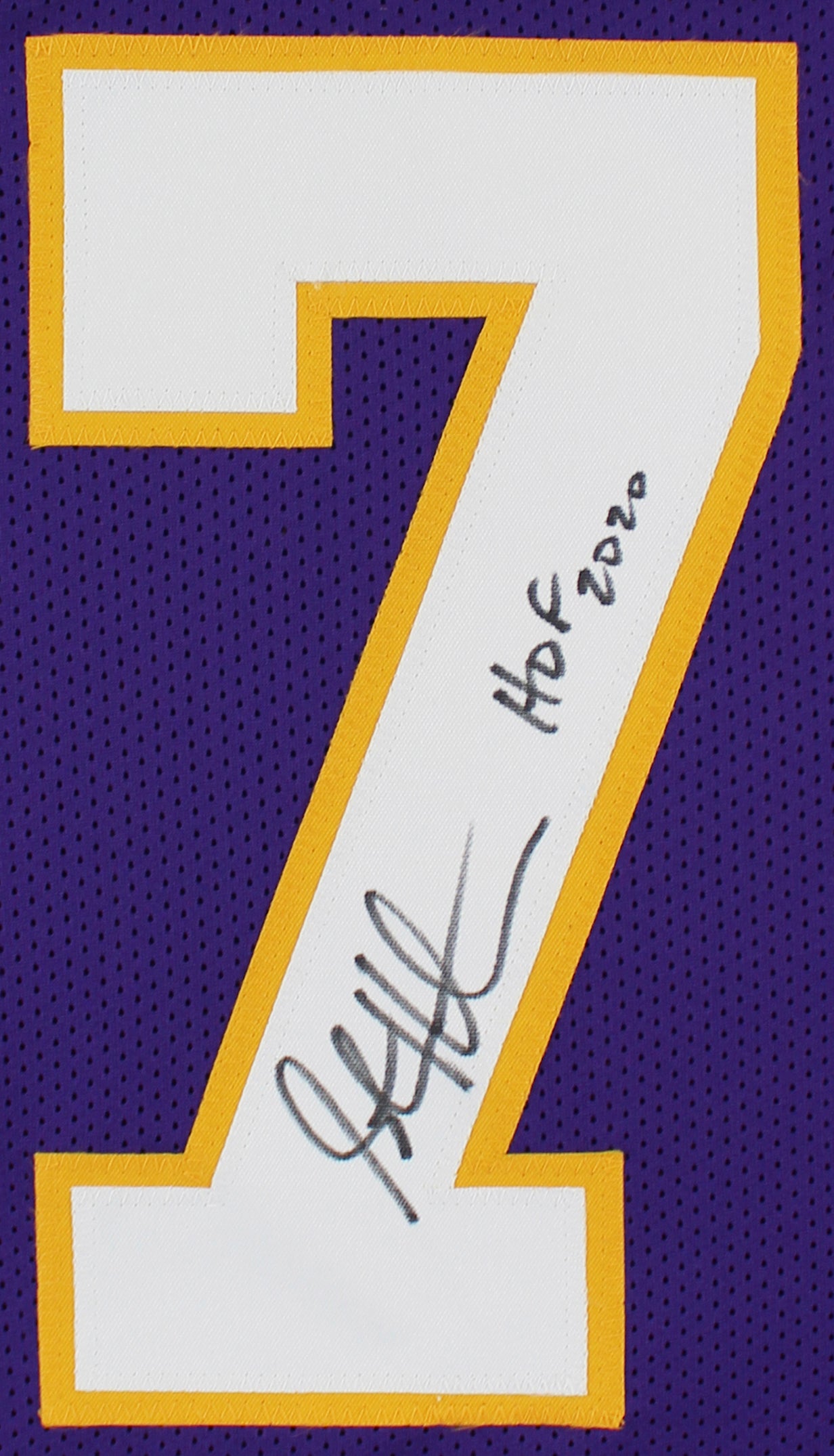 Steve Hutchinson HOF 2020 Authentic Signed Purple Pro Style Jersey BAS