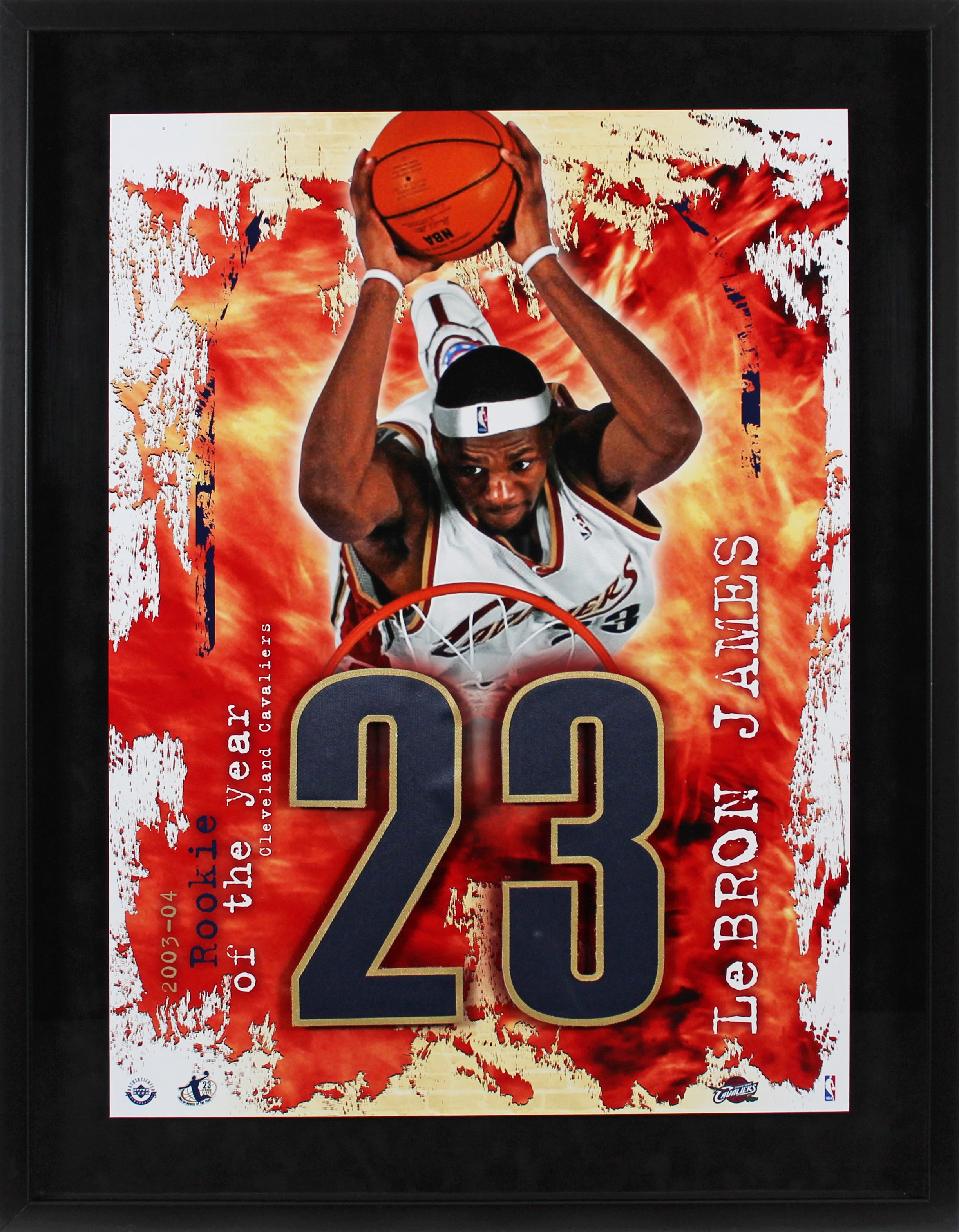 Cavaliers LeBron James 2003-04 Rookie Of The Year Framed Display Un-signed