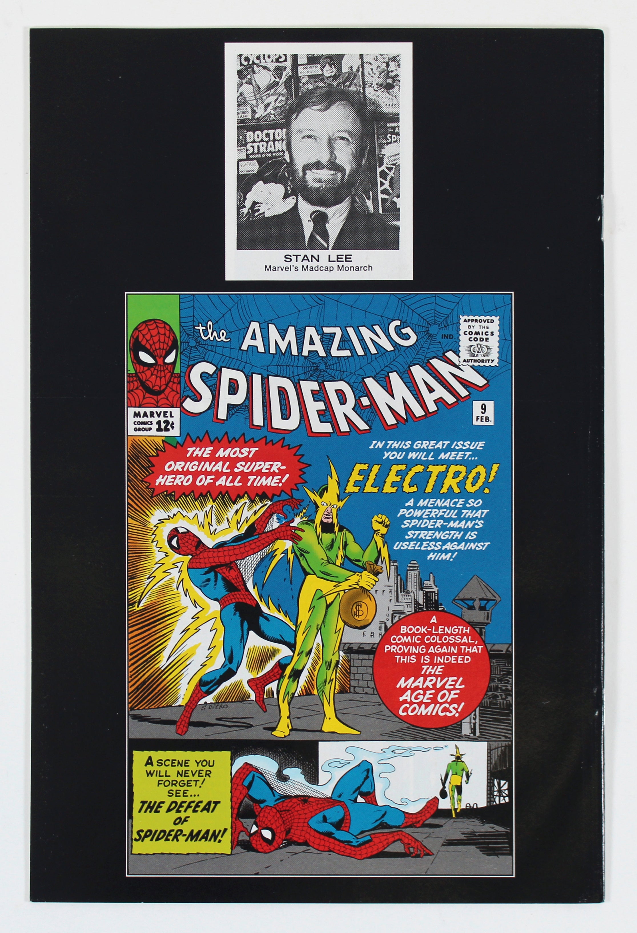 Stan Lee & Scotty Young "Nuff Said" Signed The Amazing Spider-Man #9 Comic JSA